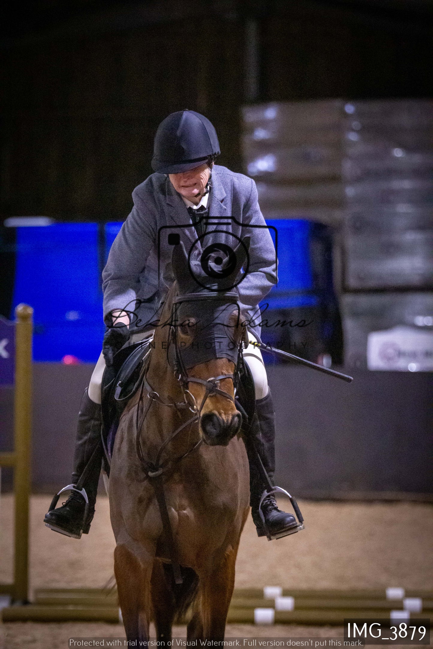 Home Farm Jumping 19th February - Seniors