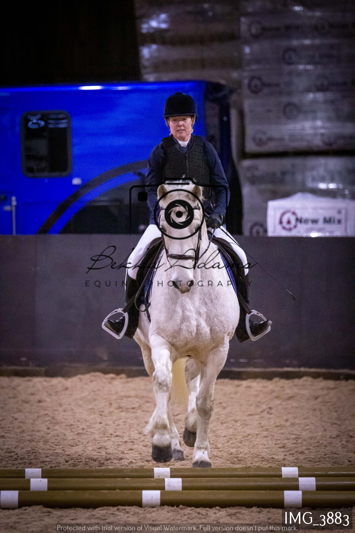 Home Farm Jumping 19th February - Seniors