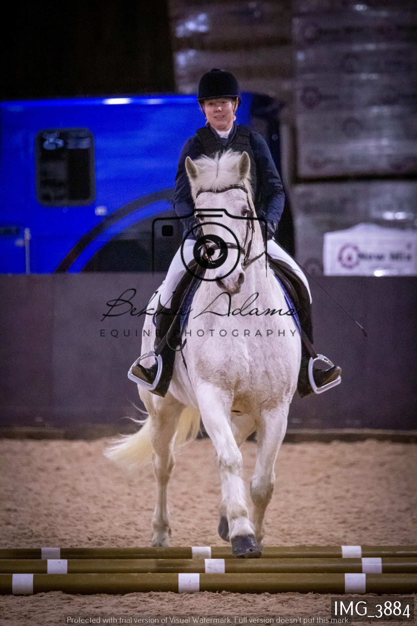 Home Farm Jumping 19th February - Seniors