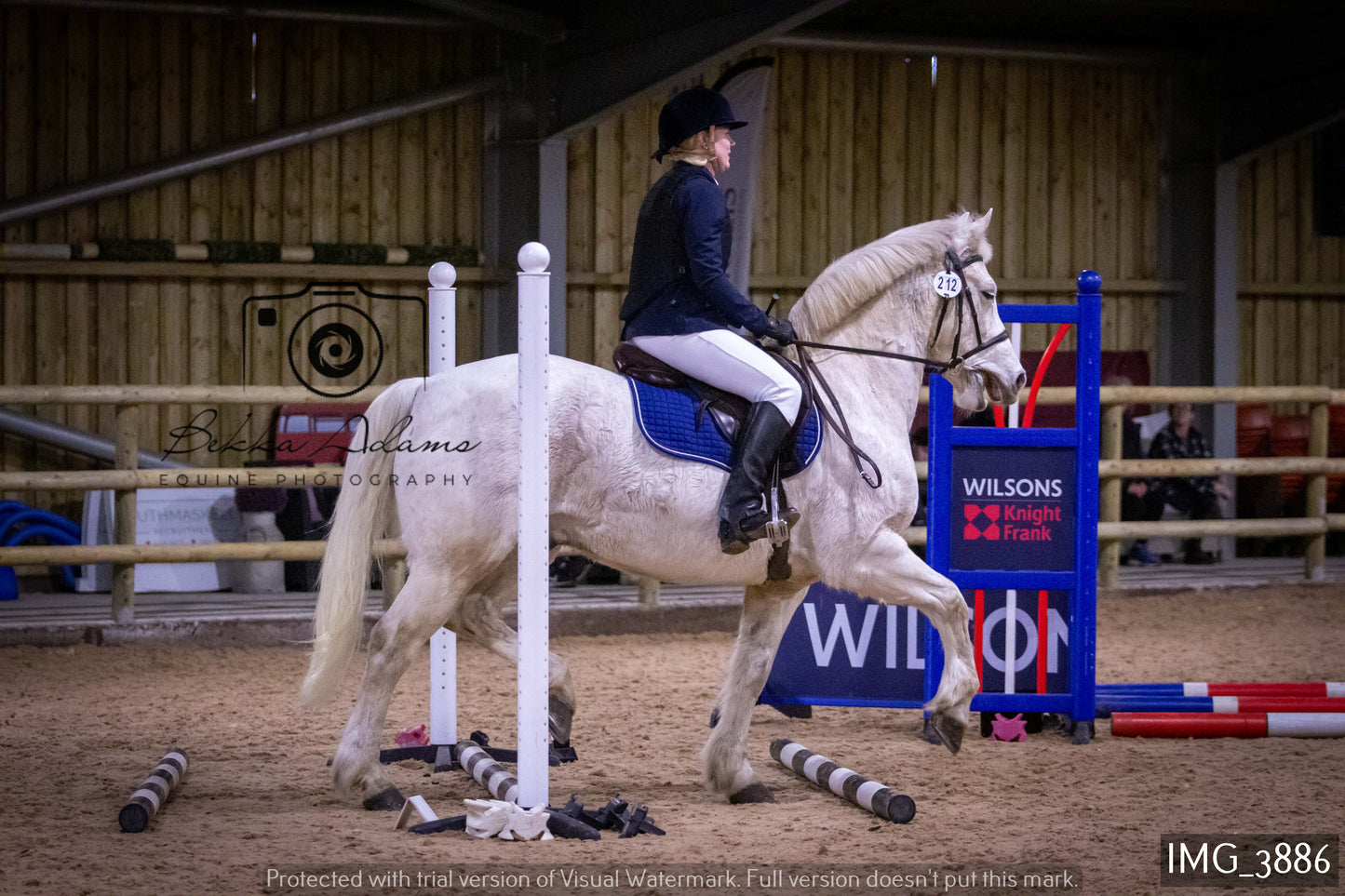 Home Farm Jumping 19th February - Seniors