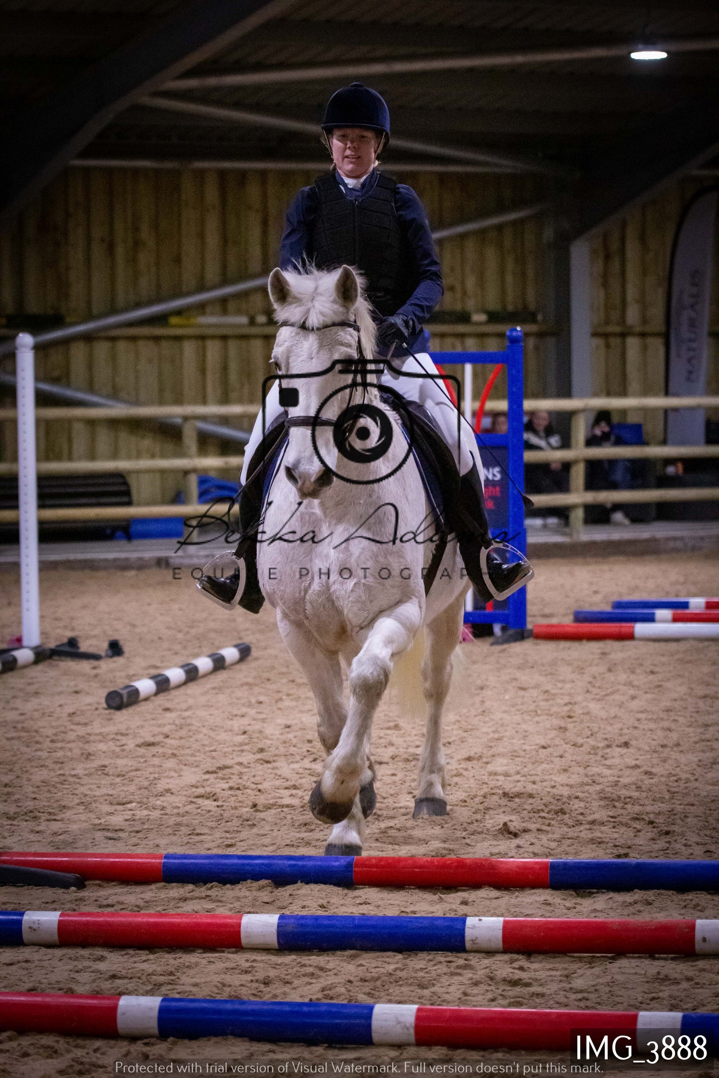 Home Farm Jumping 19th February - Seniors