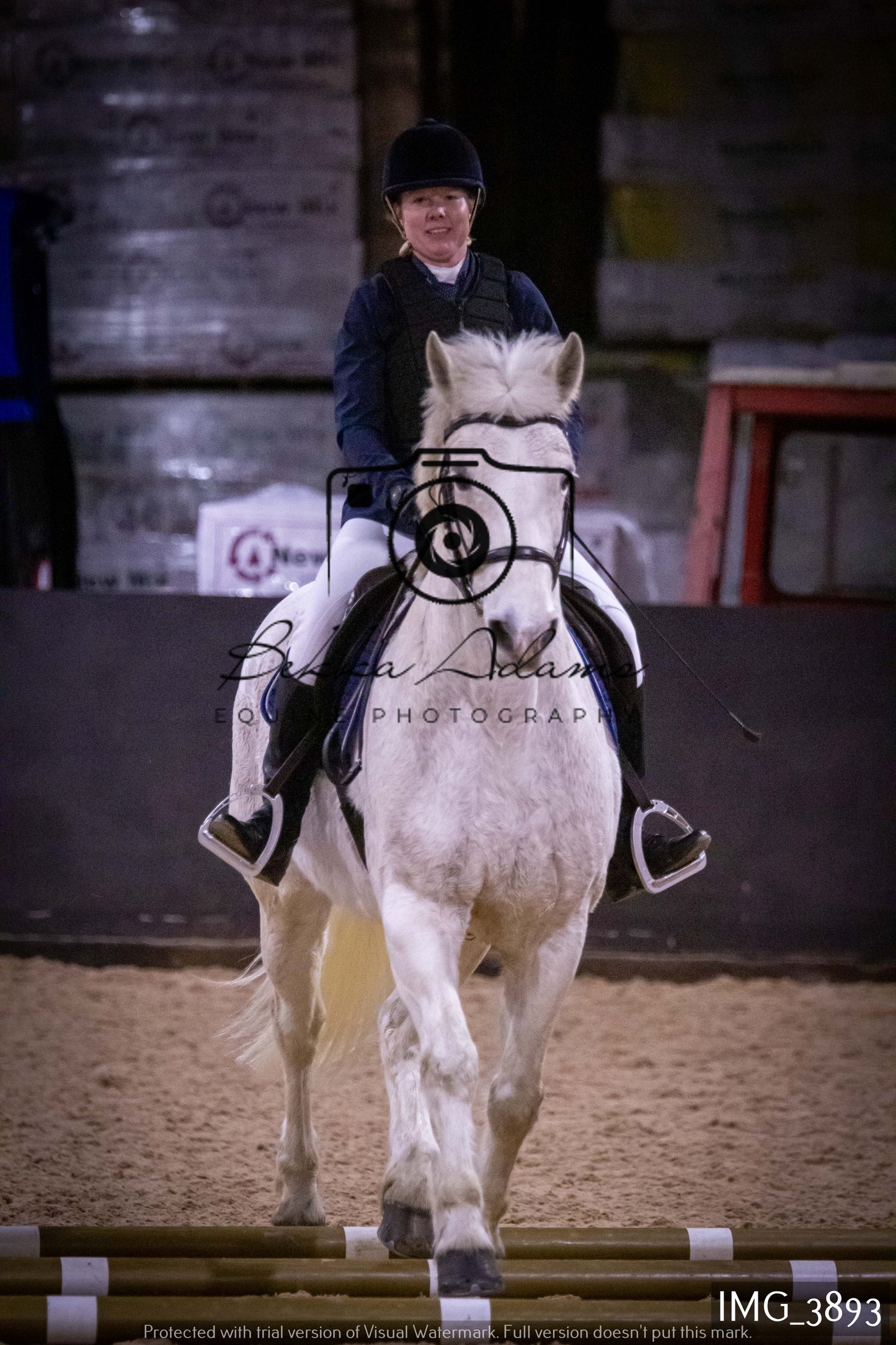 Home Farm Jumping 19th February - Seniors