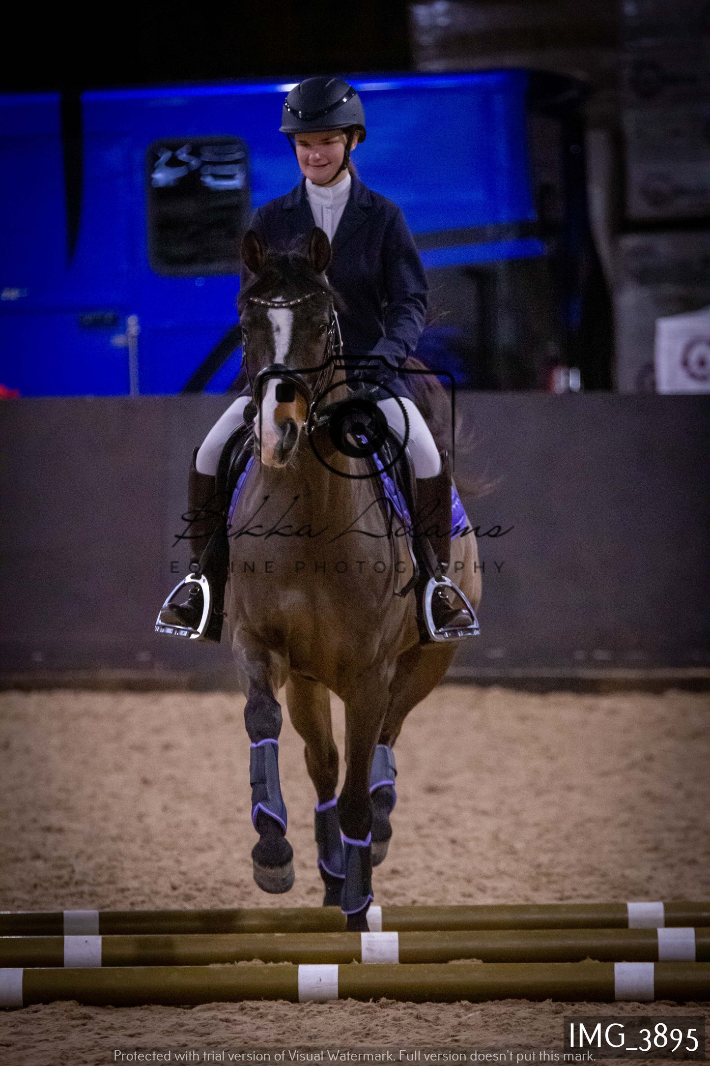 Home Farm Jumping 19th February - Seniors
