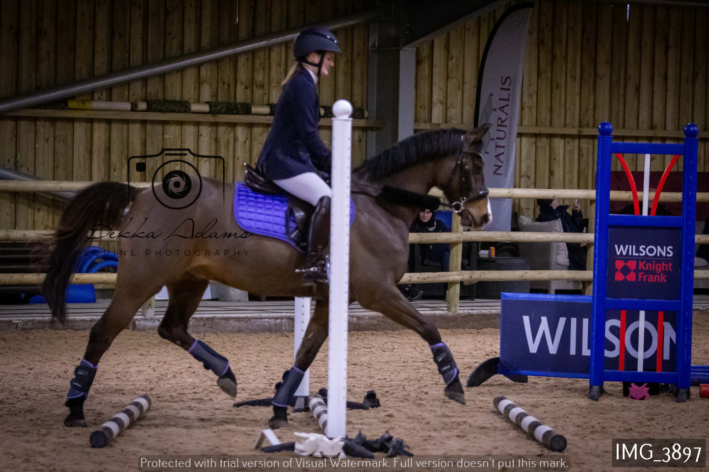 Home Farm Jumping 19th February - Seniors