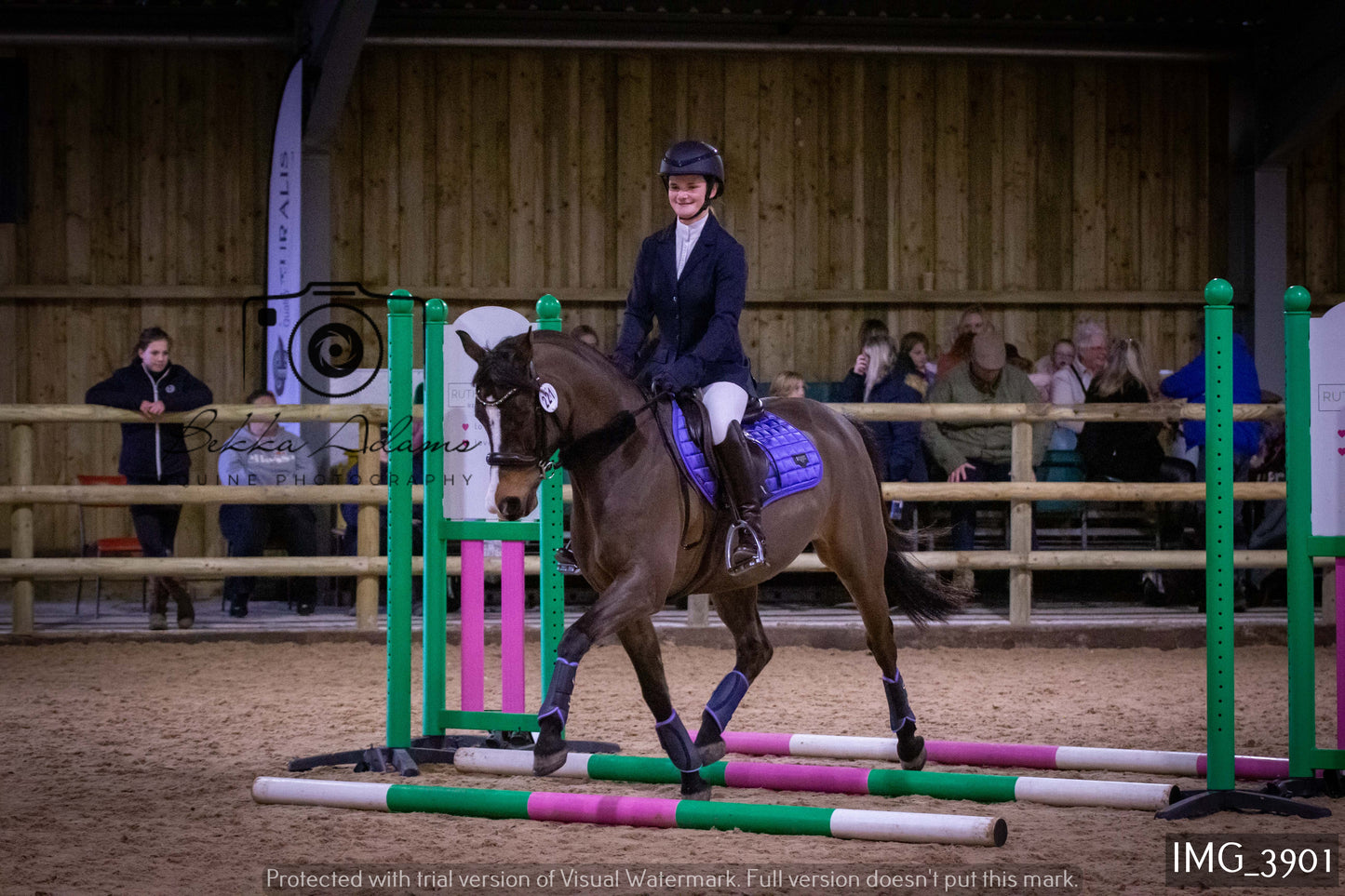 Home Farm Jumping 19th February - Seniors