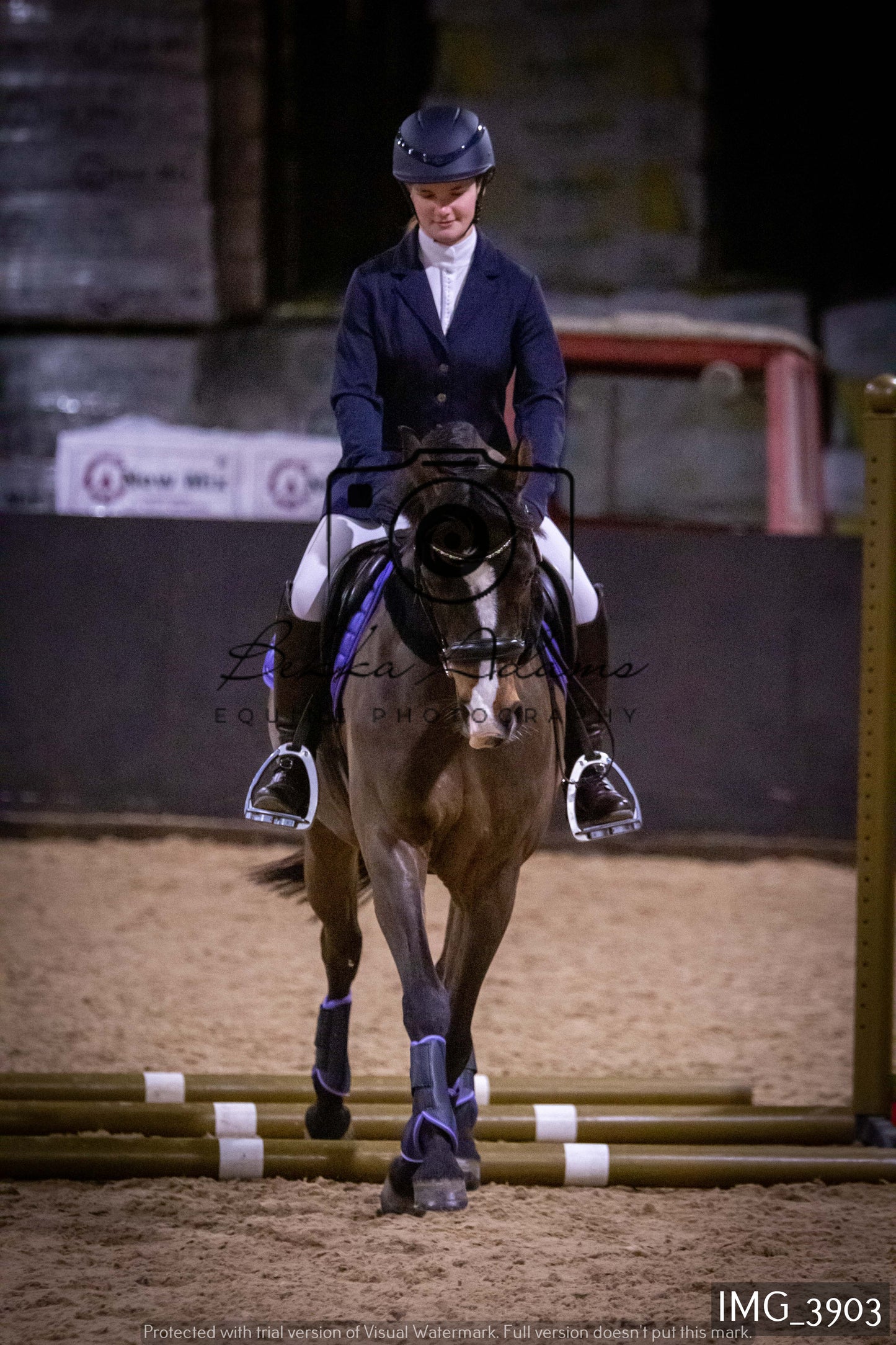 Home Farm Jumping 19th February - Seniors