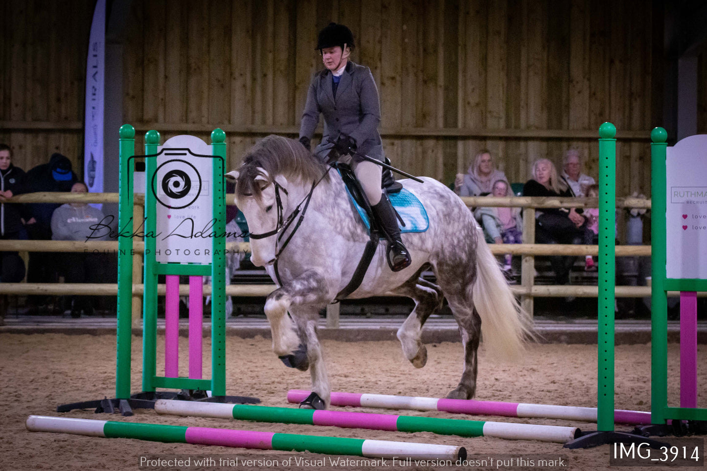 Home Farm Jumping 19th February - Seniors