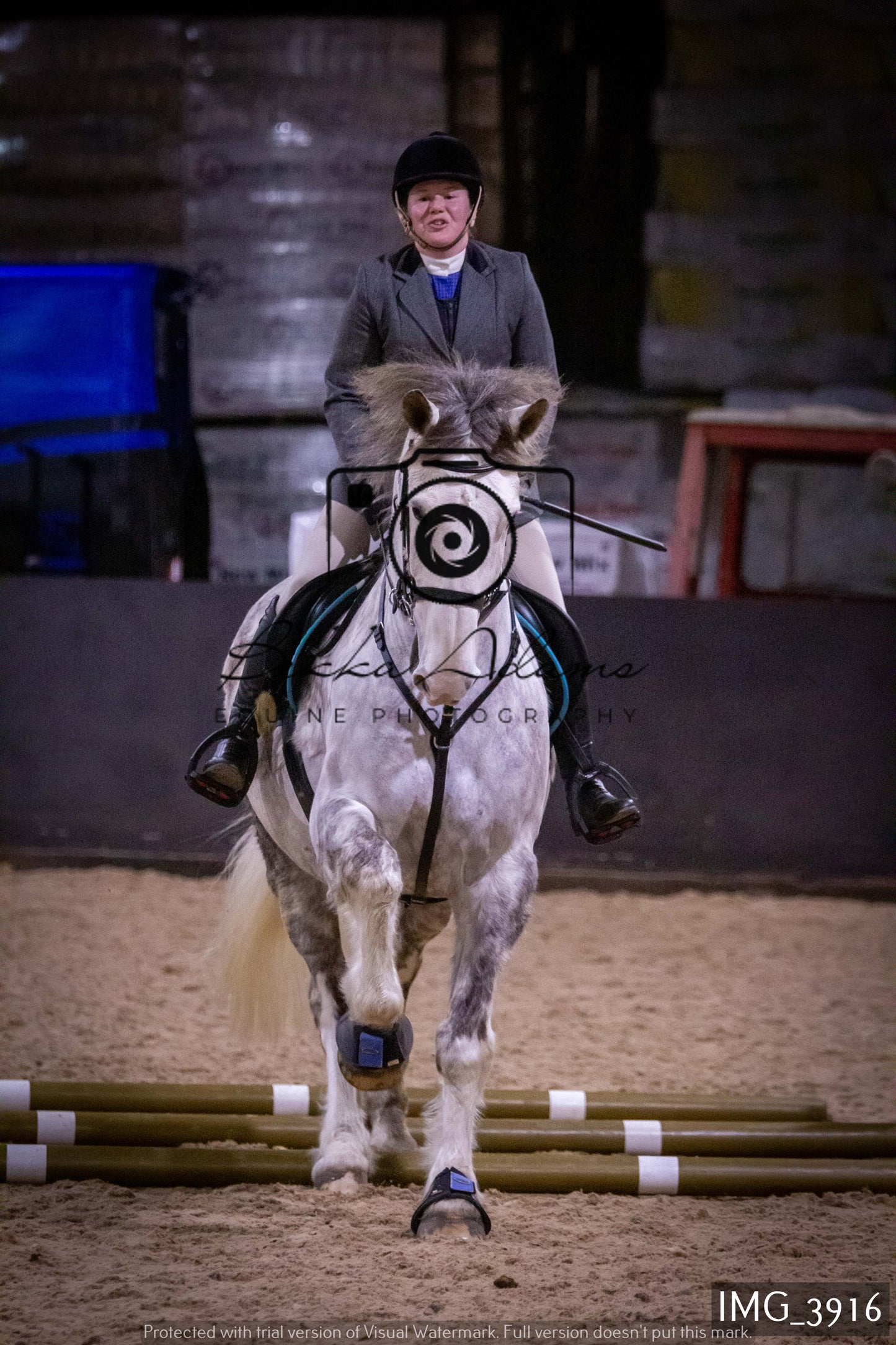 Home Farm Jumping 19th February - Seniors