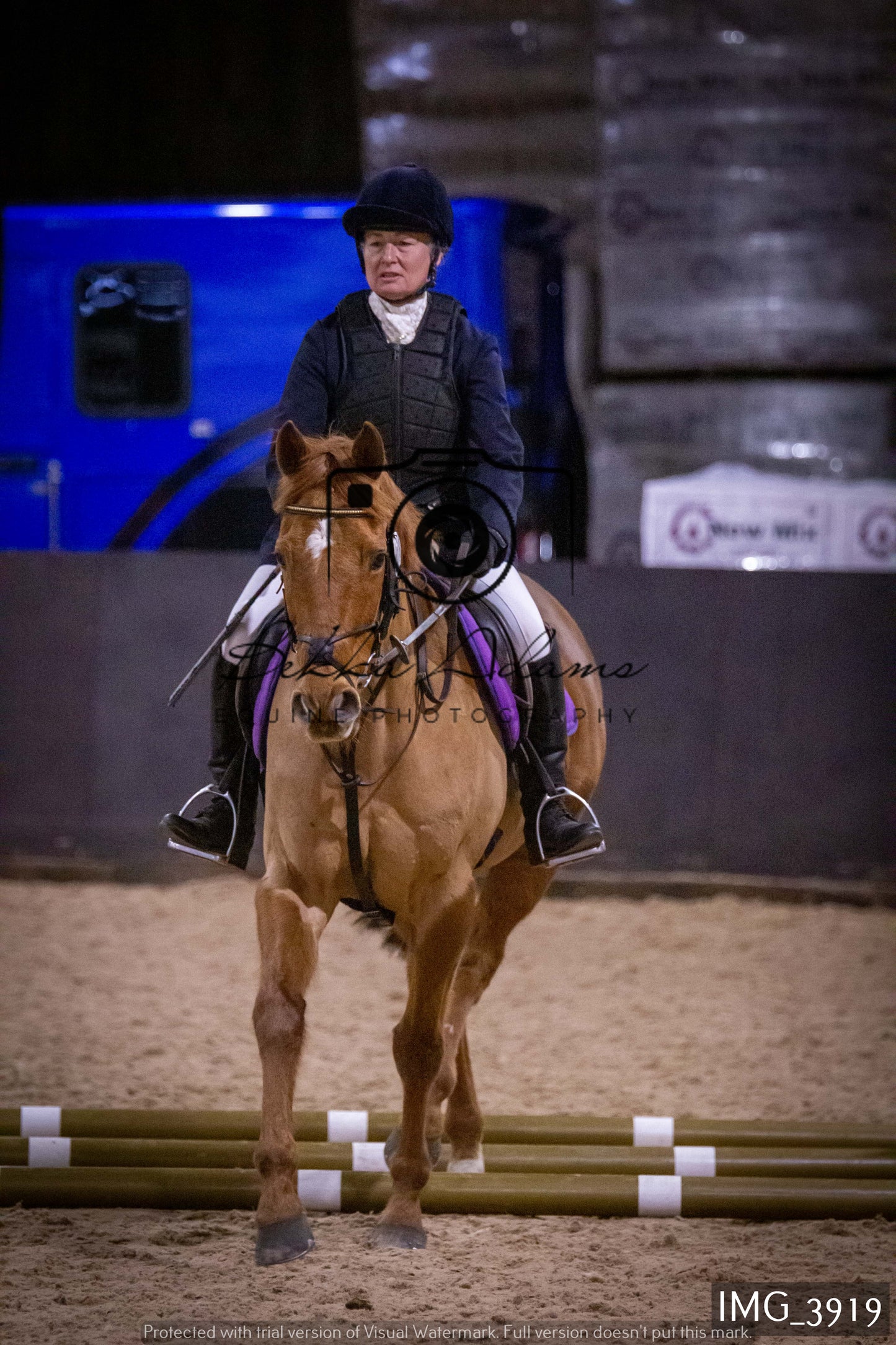 Home Farm Jumping 19th February - Seniors