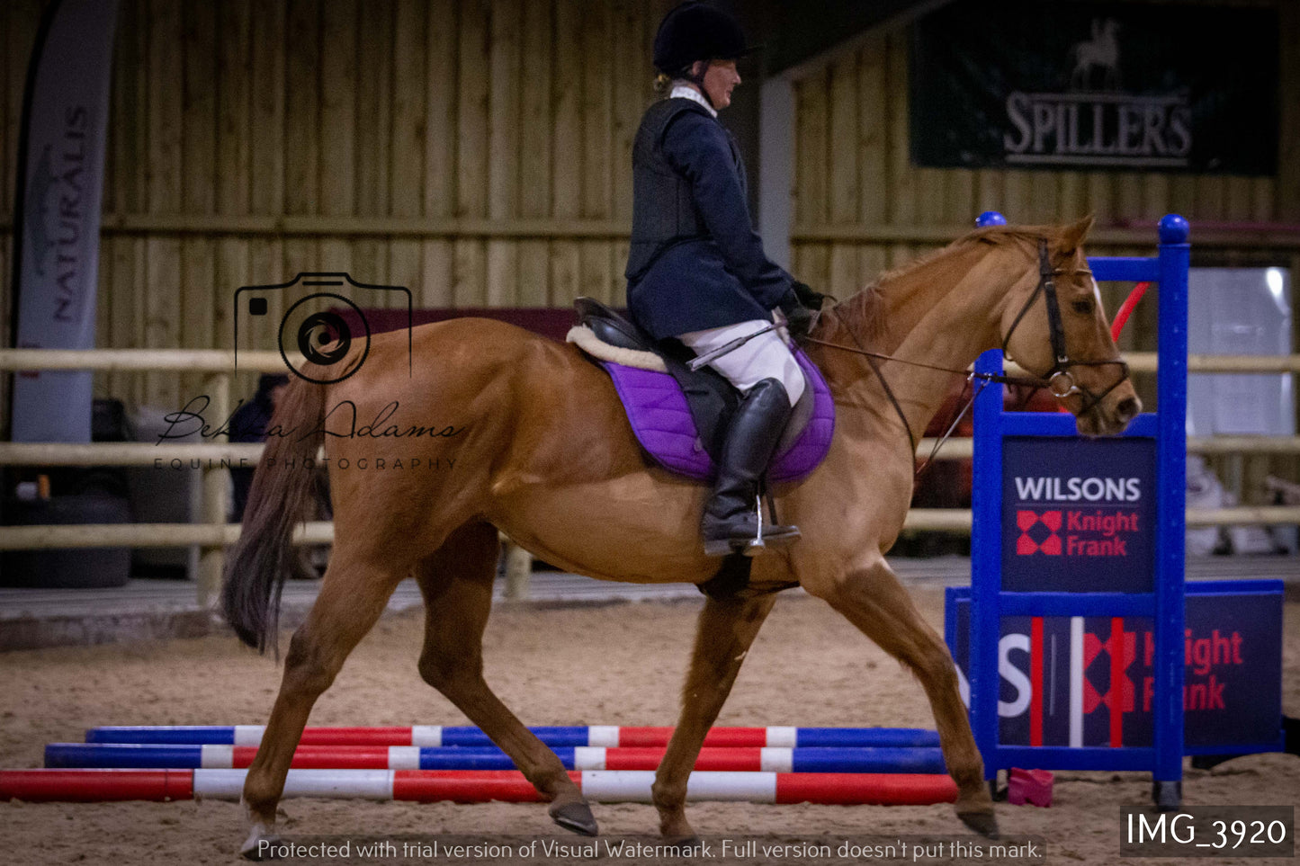 Home Farm Jumping 19th February - Seniors