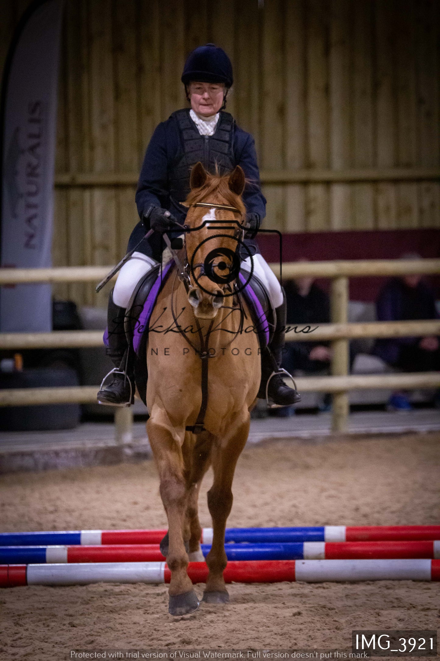 Home Farm Jumping 19th February - Seniors