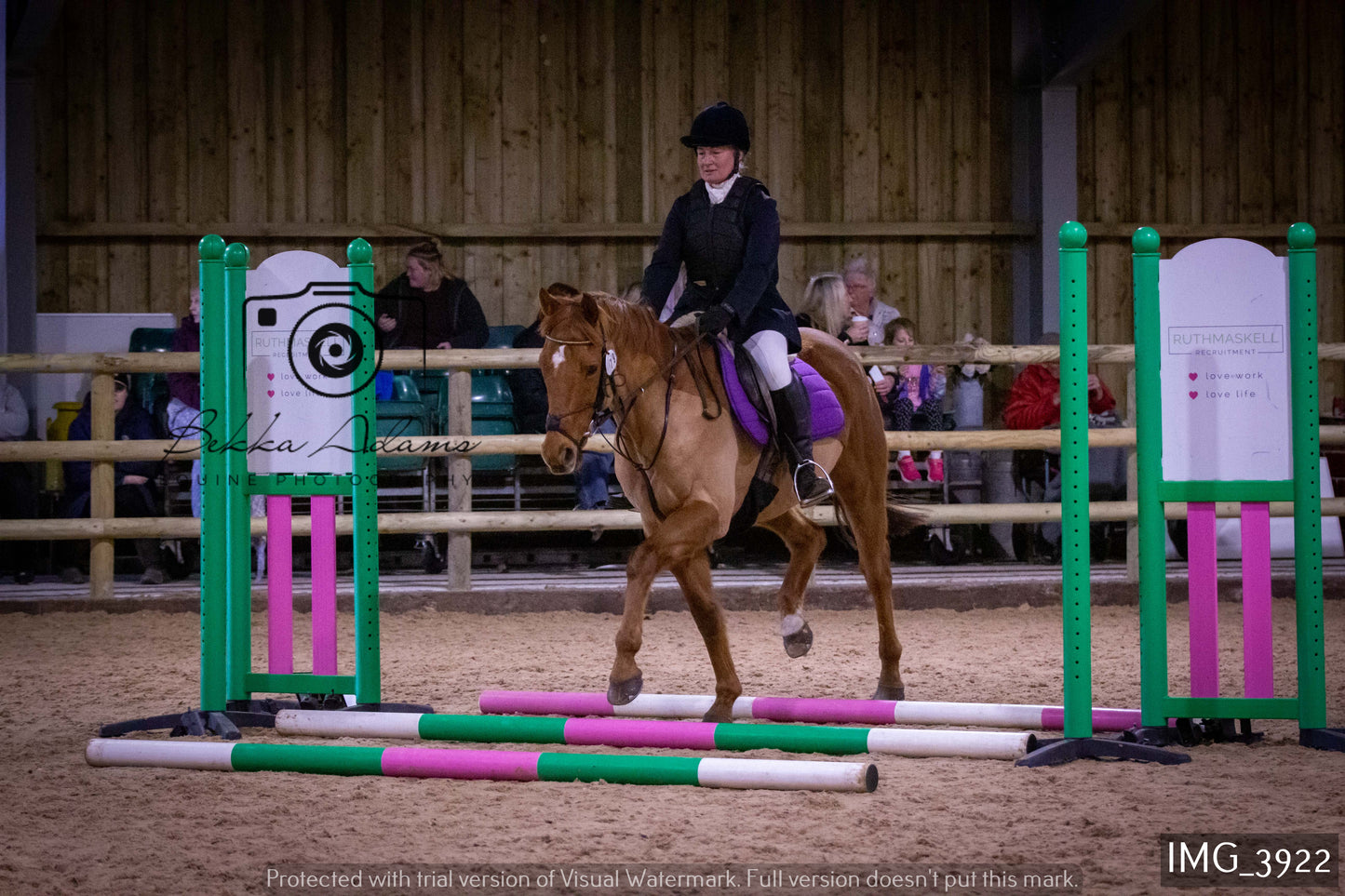 Home Farm Jumping 19th February - Seniors