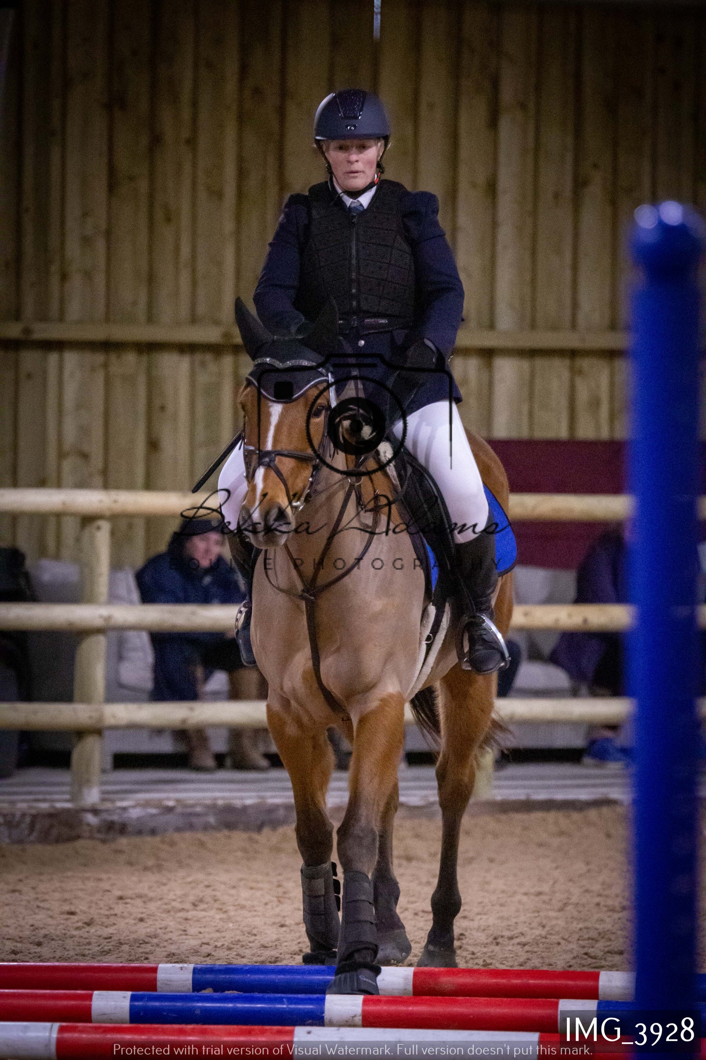 Home Farm Jumping 19th February - Seniors