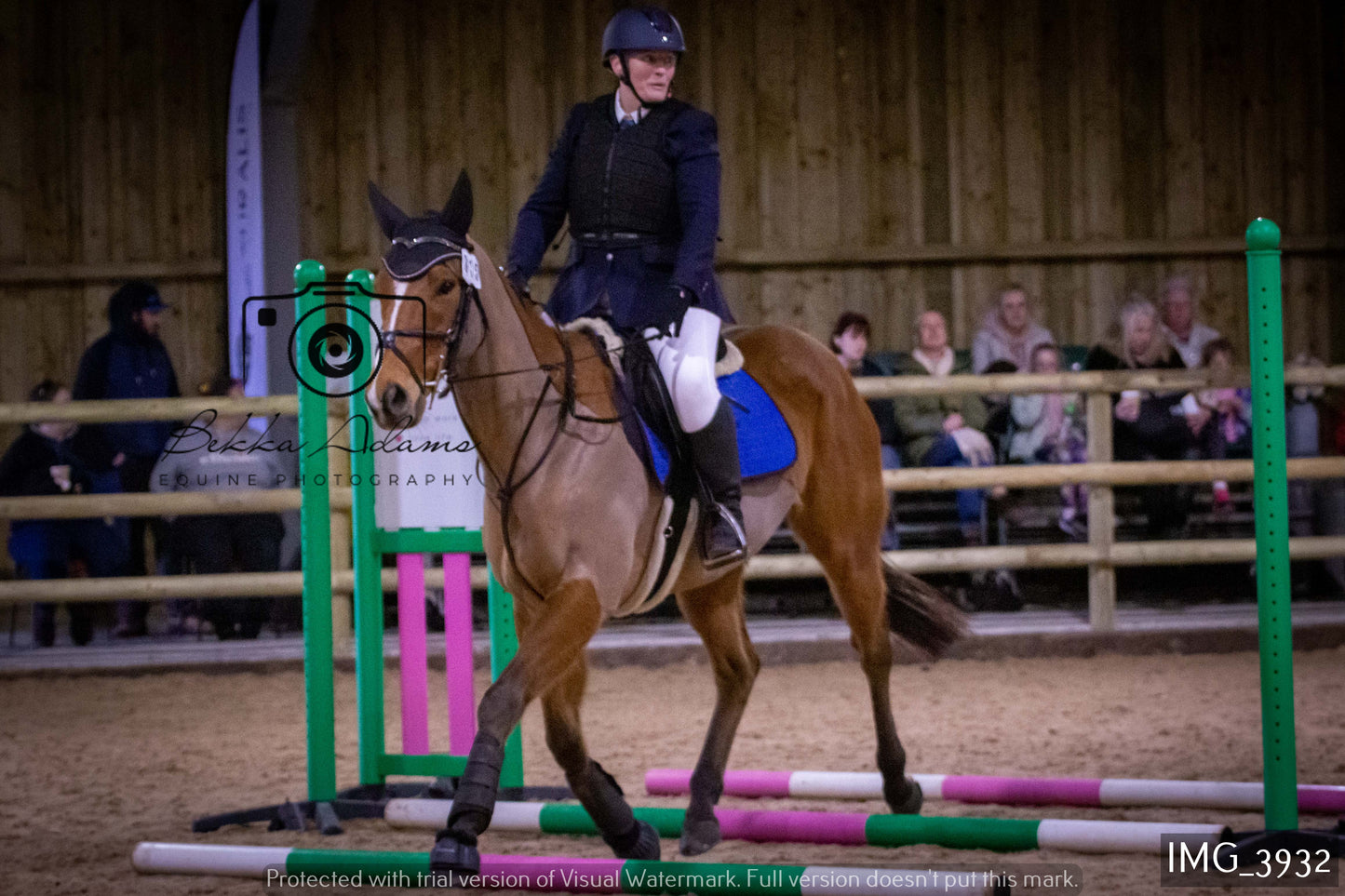 Home Farm Jumping 19th February - Seniors