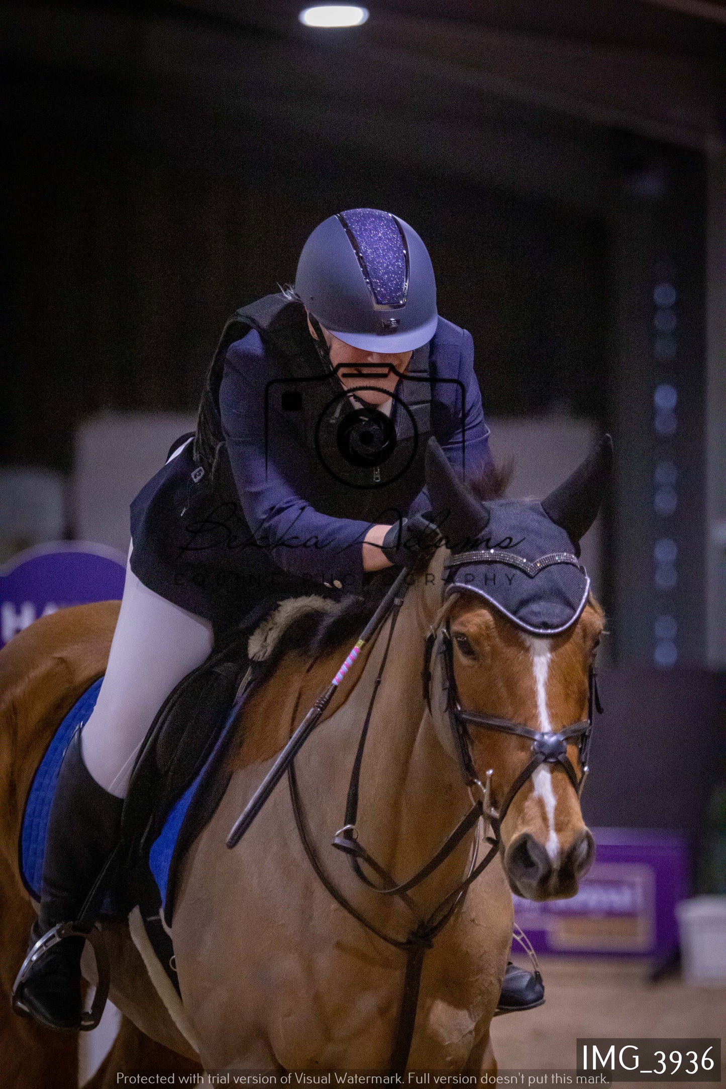 Home Farm Jumping 19th February - Seniors