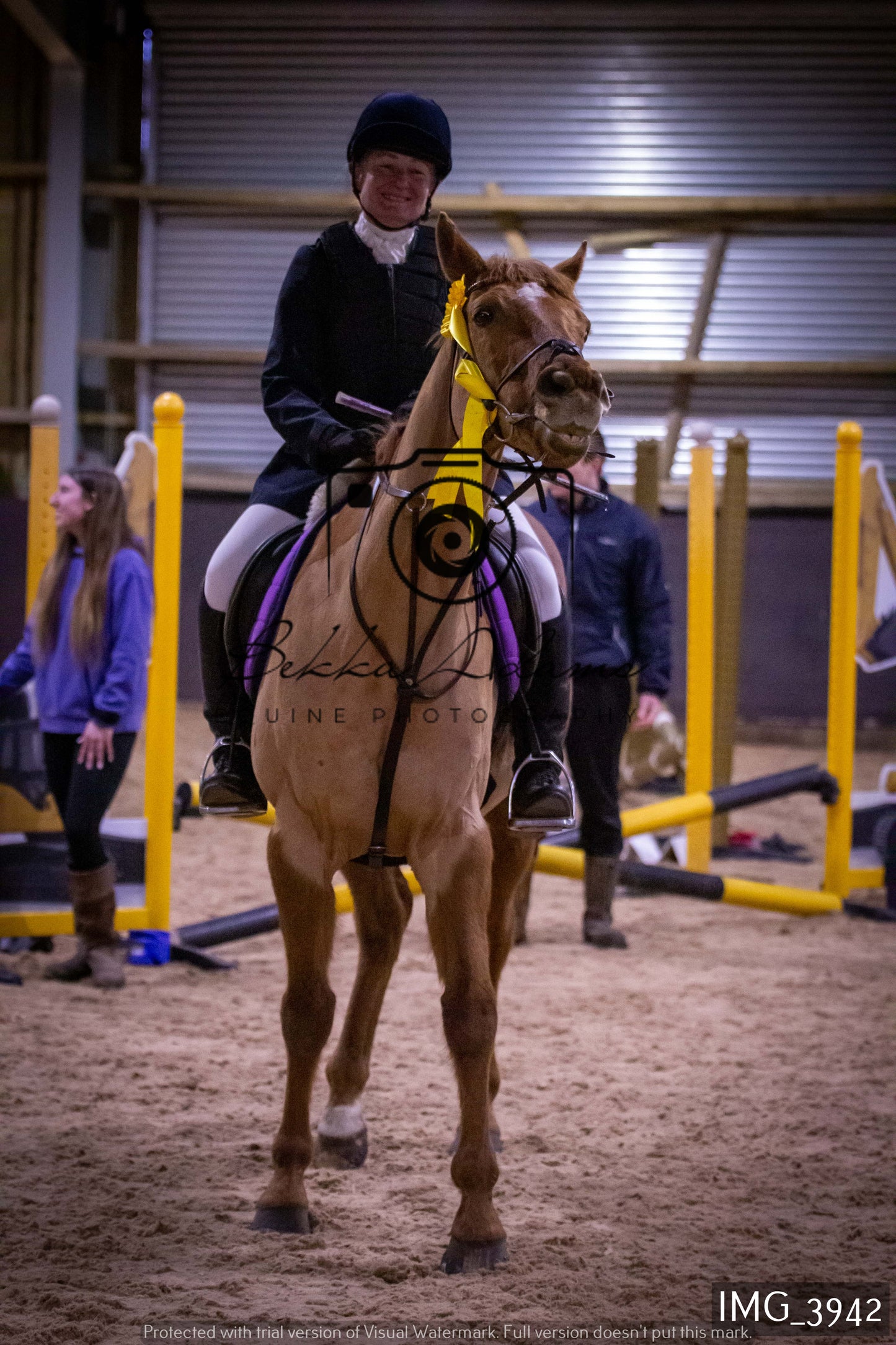Home Farm Jumping 19th February - Seniors