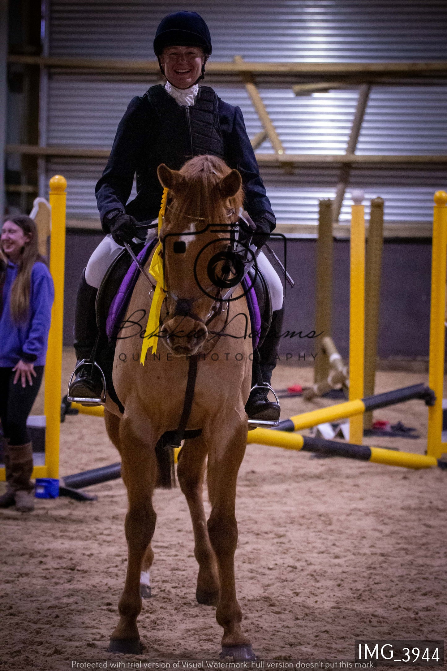 Home Farm Jumping 19th February - Seniors
