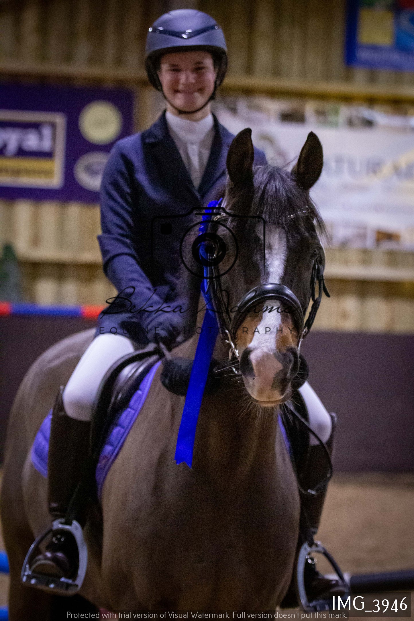 Home Farm Jumping 19th February - Seniors