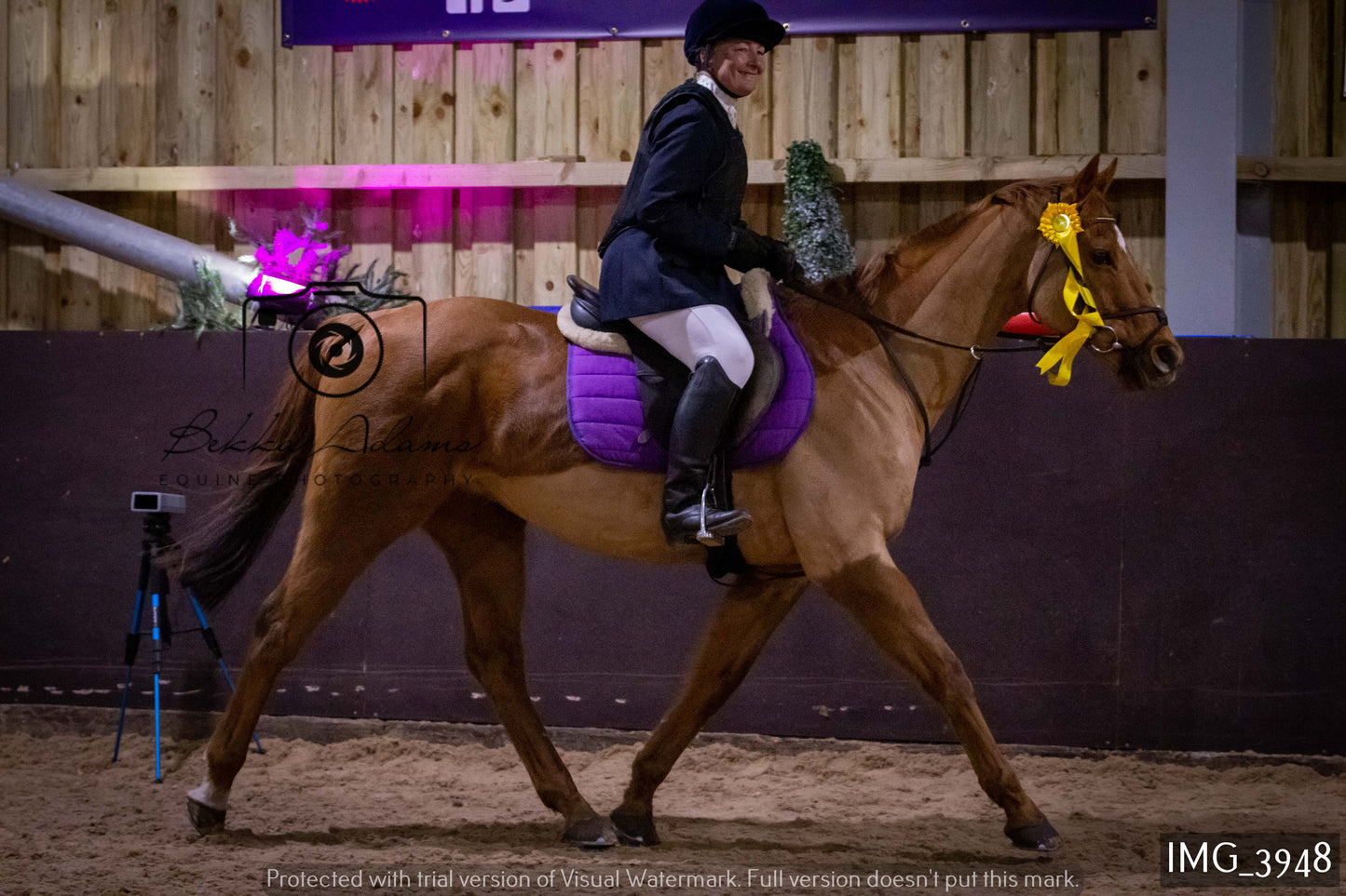 Home Farm Jumping 19th February - Seniors