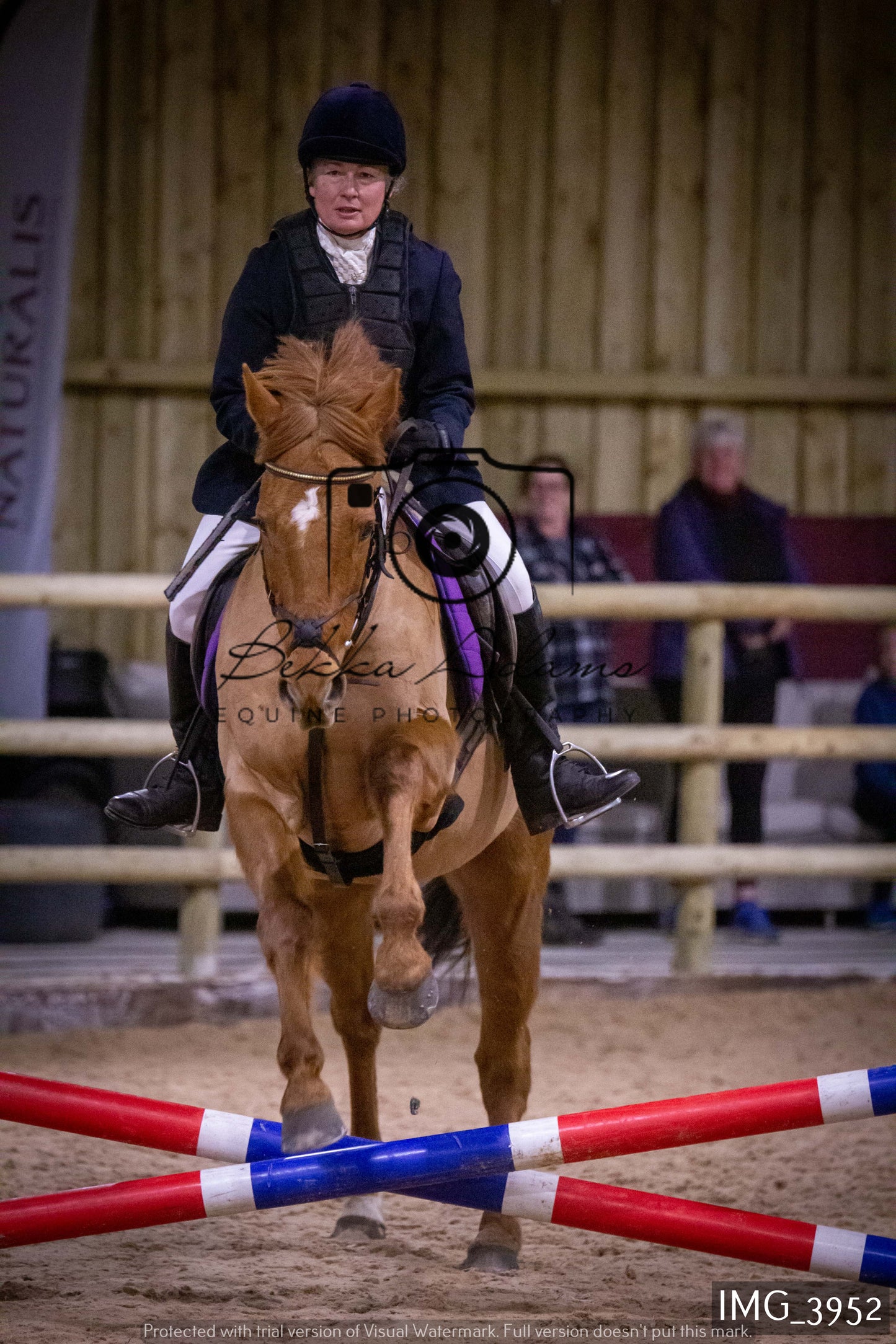 Home Farm Jumping 19th February - Seniors