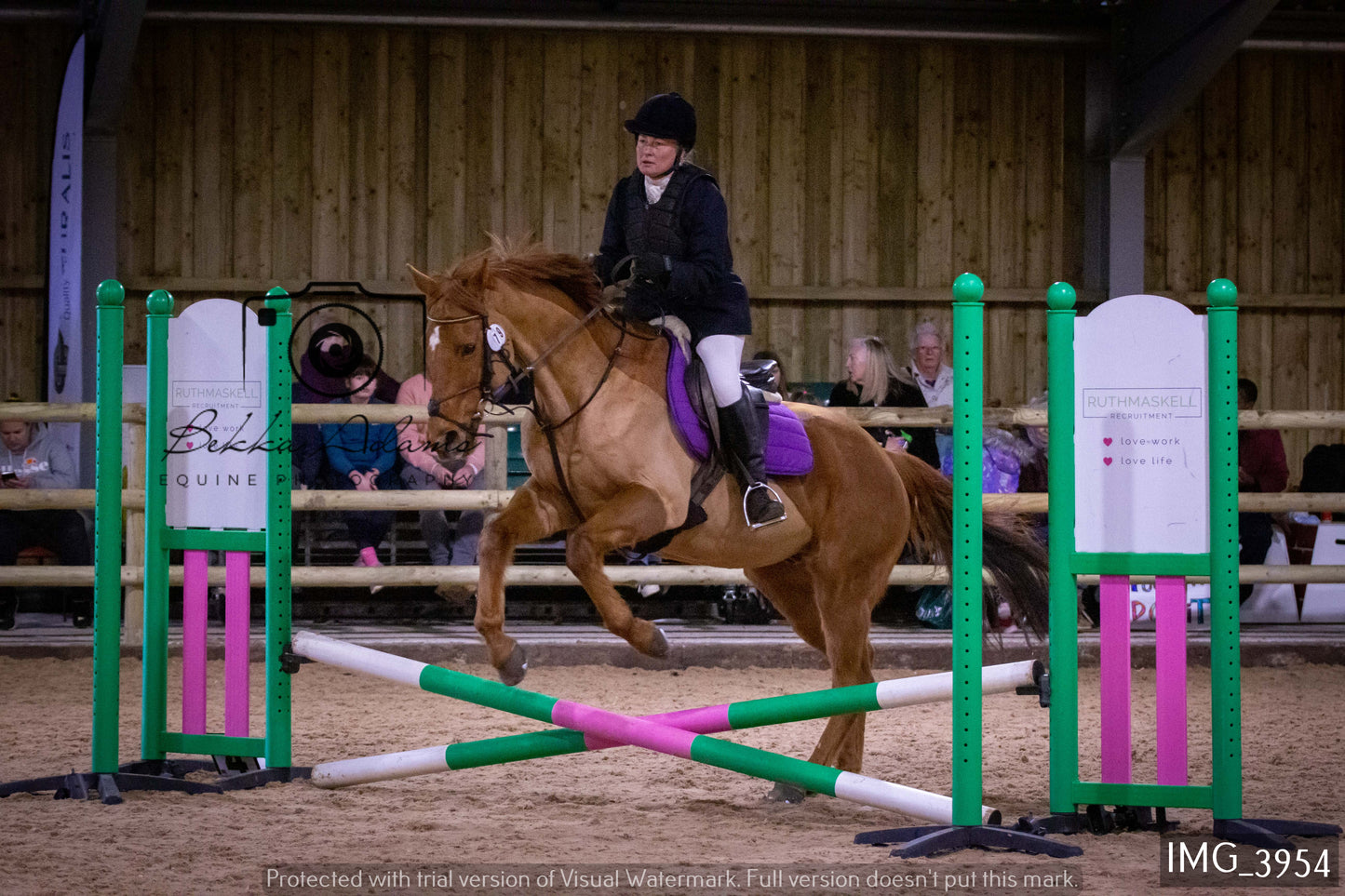 Home Farm Jumping 19th February - Seniors