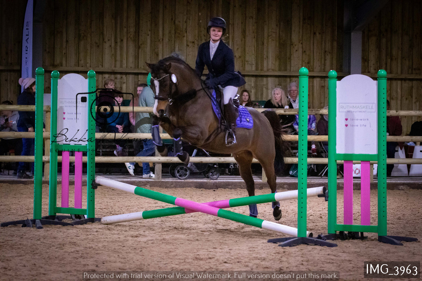 Home Farm Jumping 19th February - Seniors