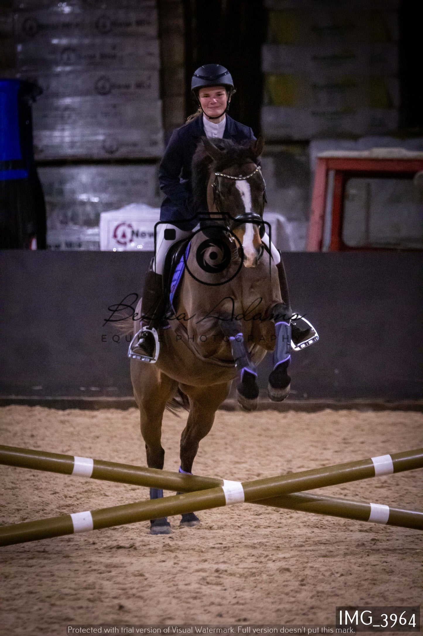 Home Farm Jumping 19th February - Seniors