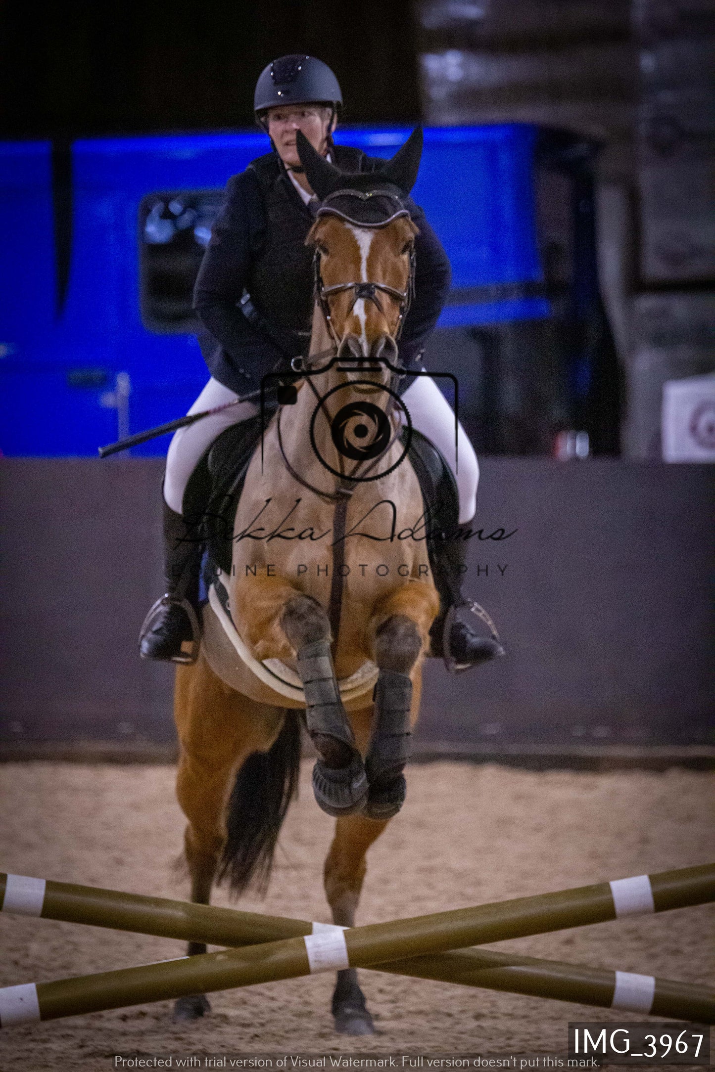 Home Farm Jumping 19th February - Seniors