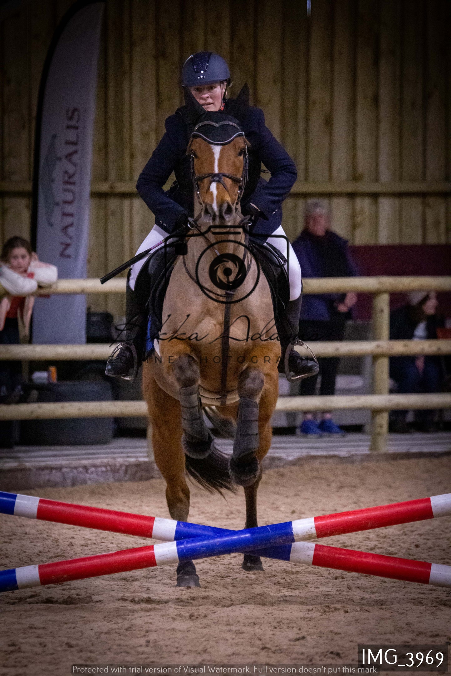 Home Farm Jumping 19th February - Seniors