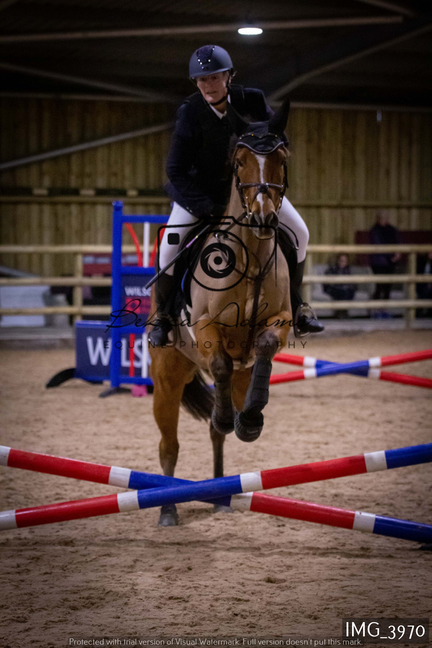 Home Farm Jumping 19th February - Seniors