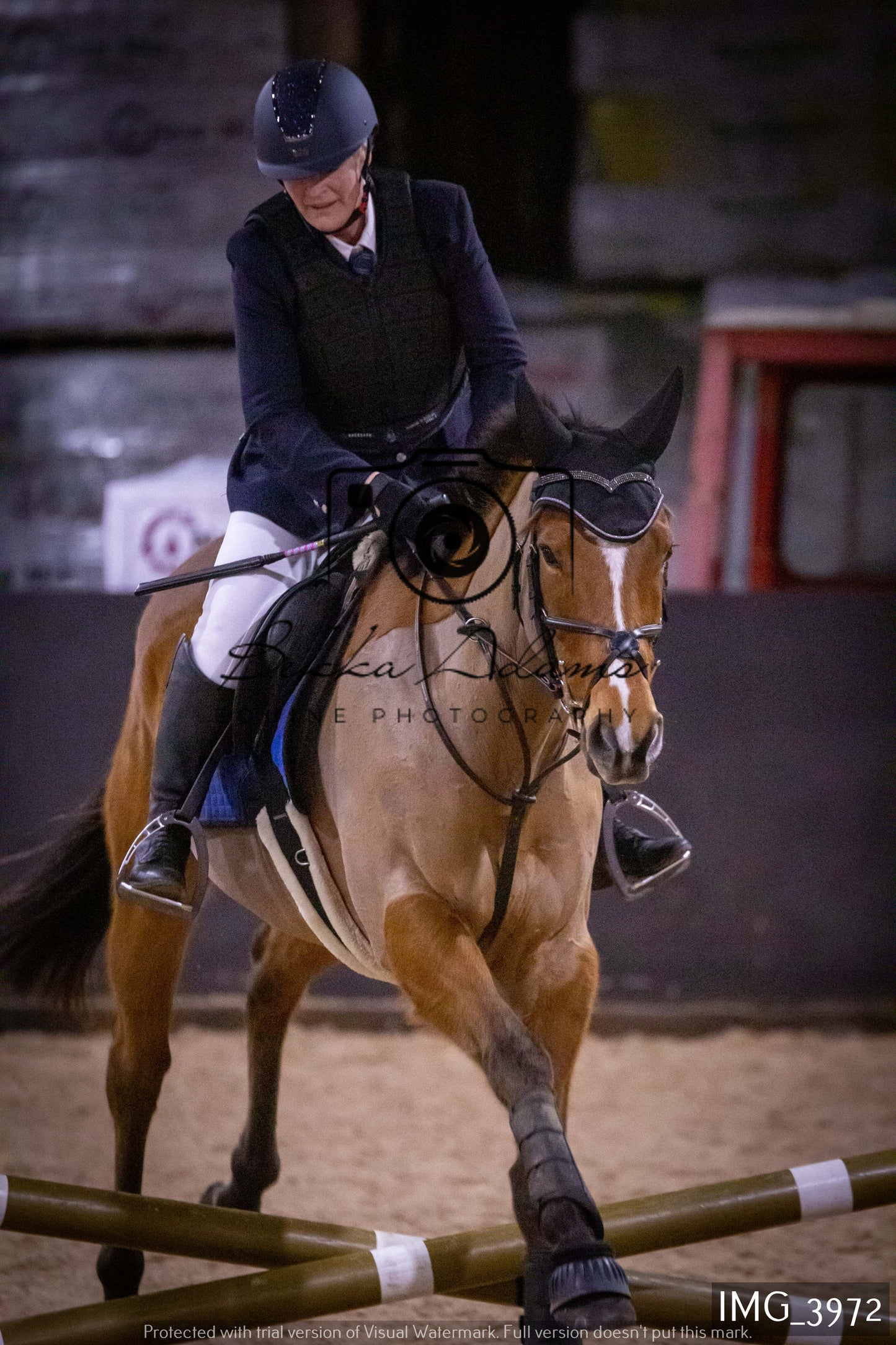 Home Farm Jumping 19th February - Seniors