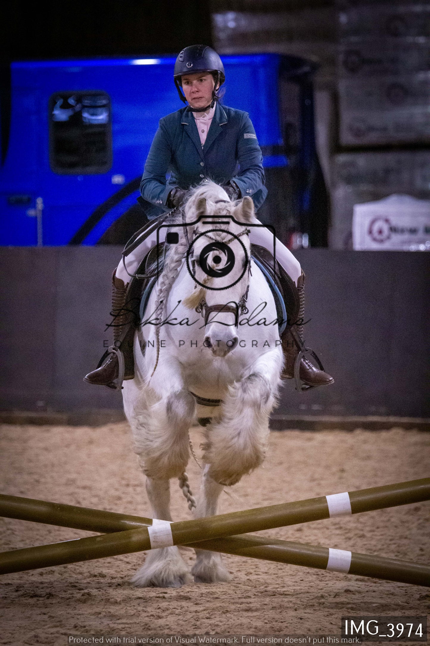 Home Farm Jumping 19th February - Seniors
