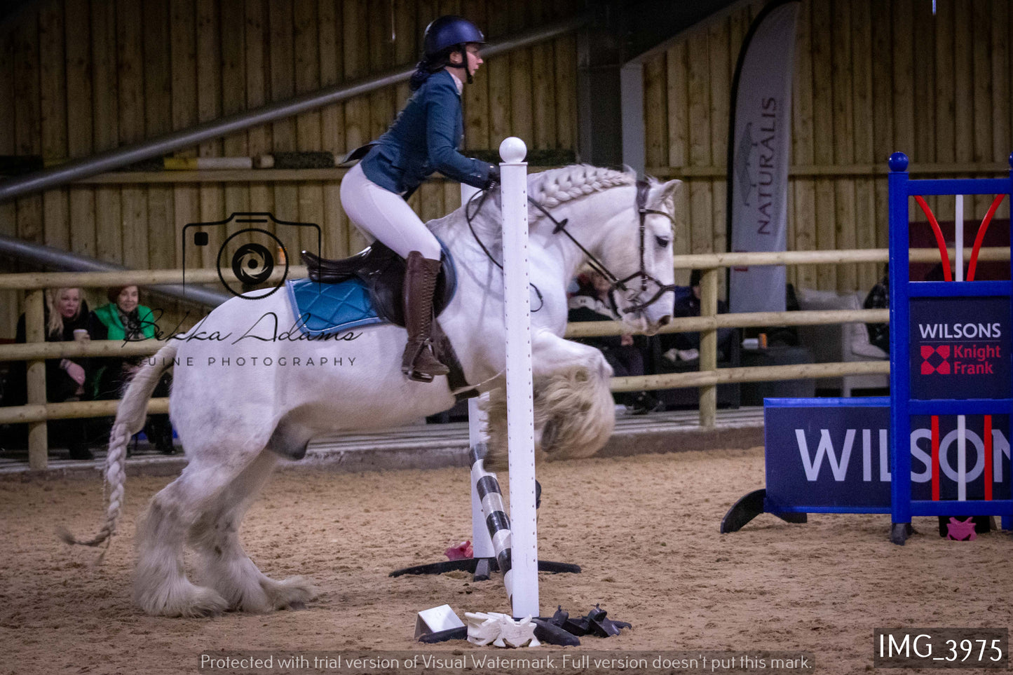 Home Farm Jumping 19th February - Seniors