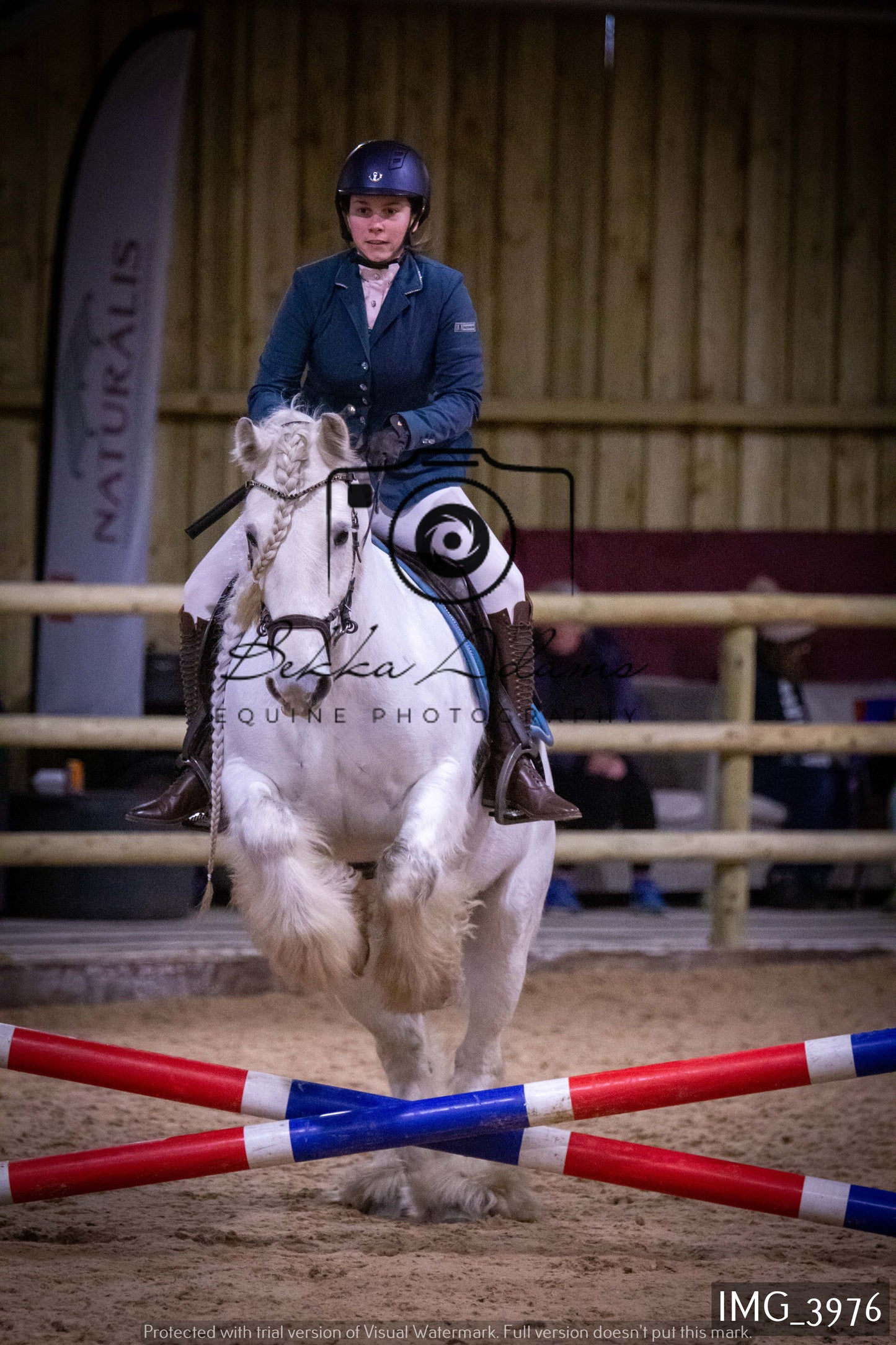 Home Farm Jumping 19th February - Seniors
