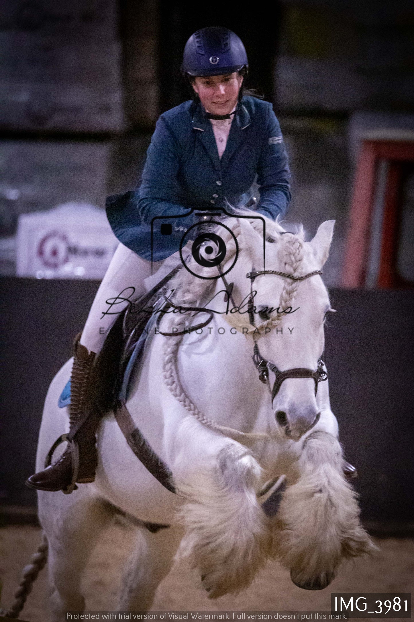 Home Farm Jumping 19th February - Seniors