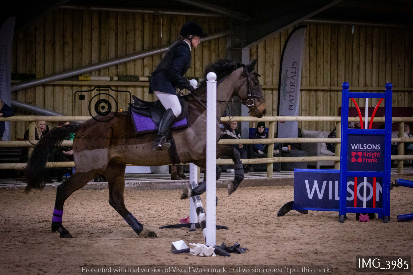 Home Farm Jumping 19th February - Seniors