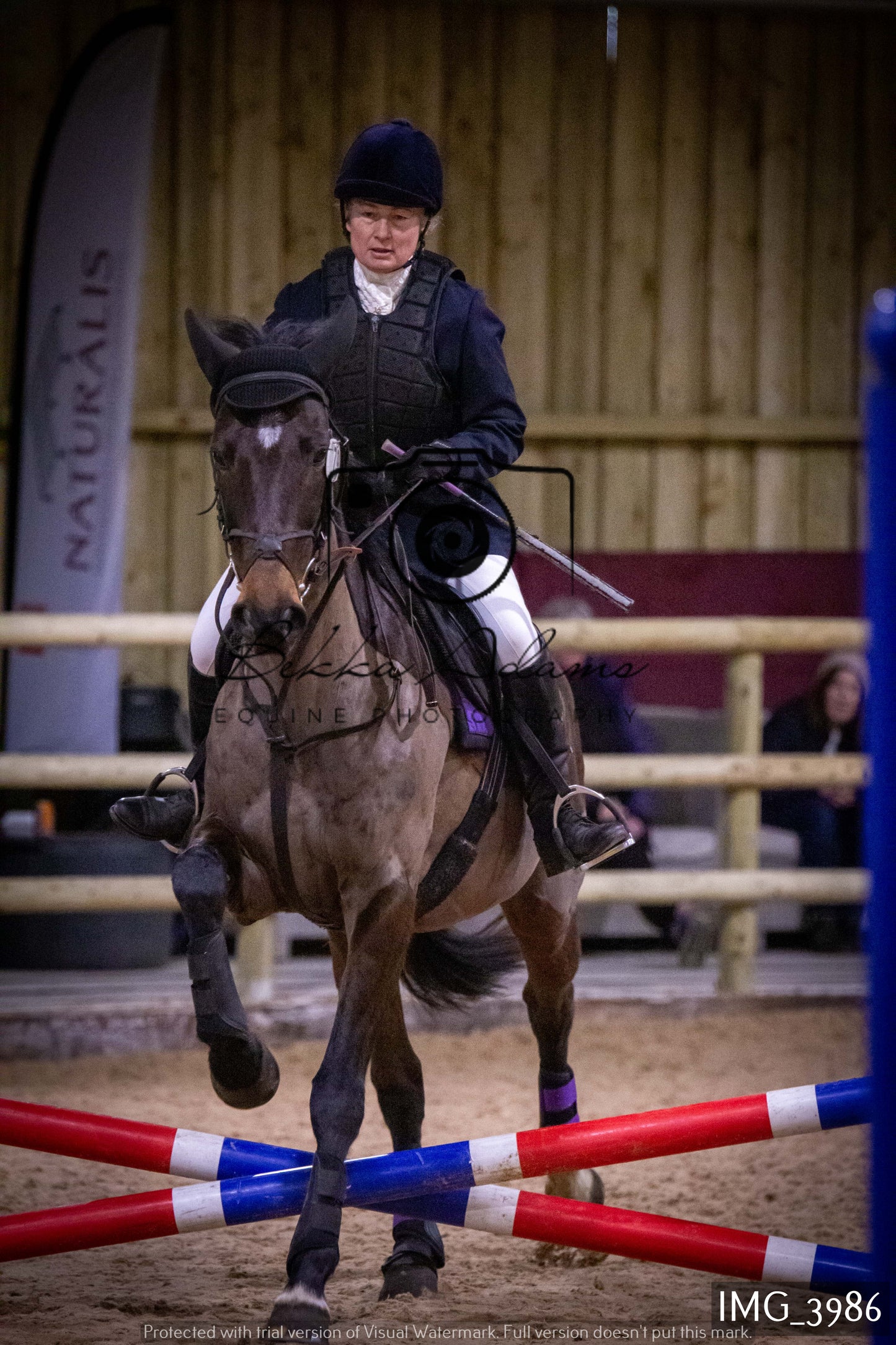 Home Farm Jumping 19th February - Seniors