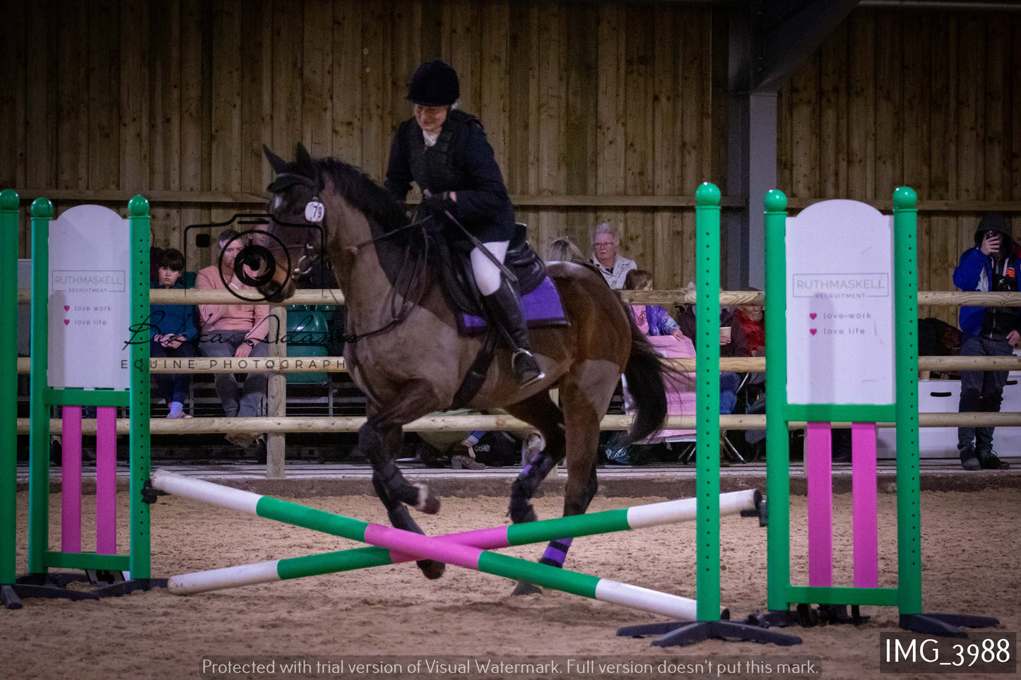 Home Farm Jumping 19th February - Seniors