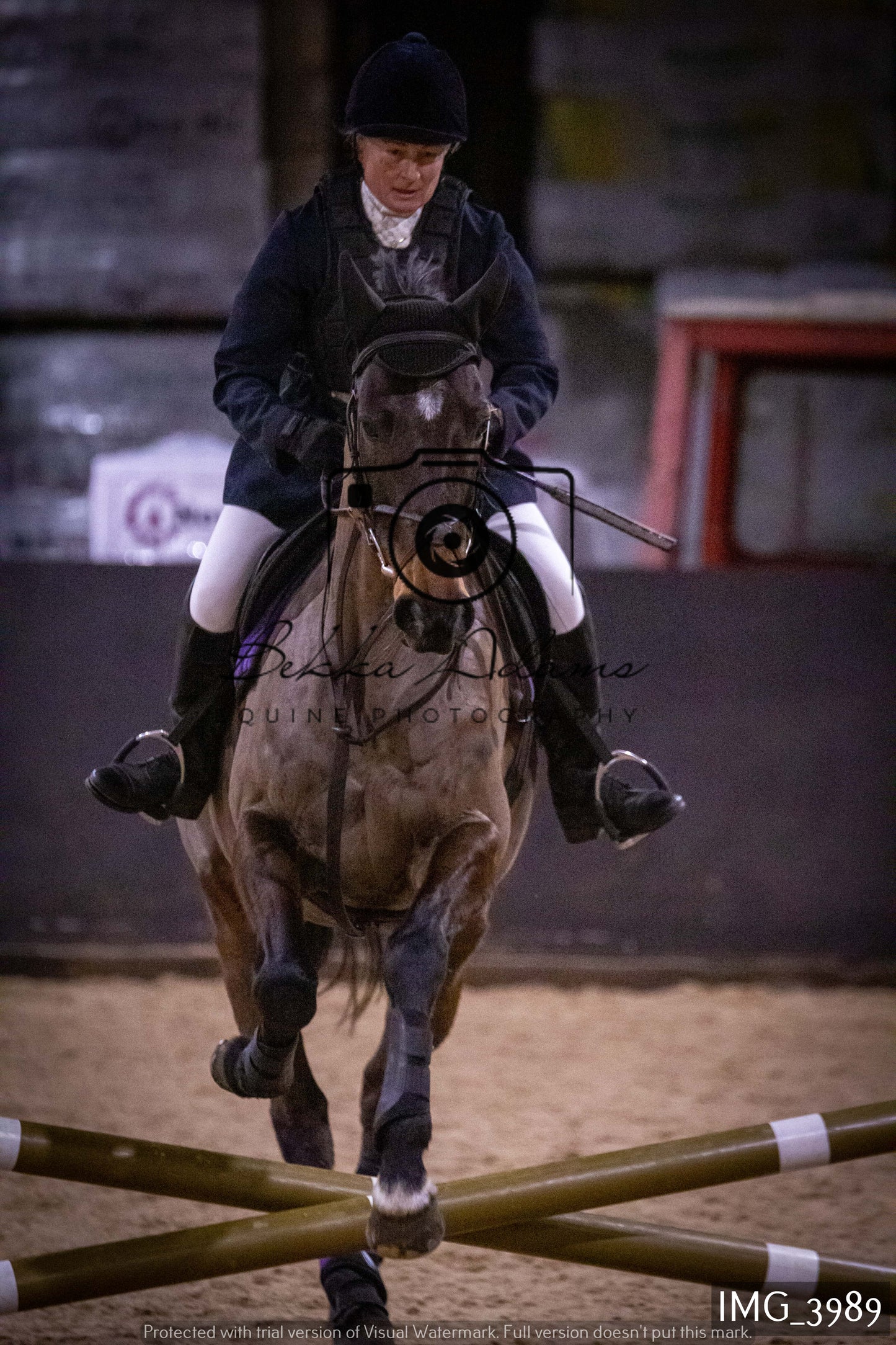 Home Farm Jumping 19th February - Seniors