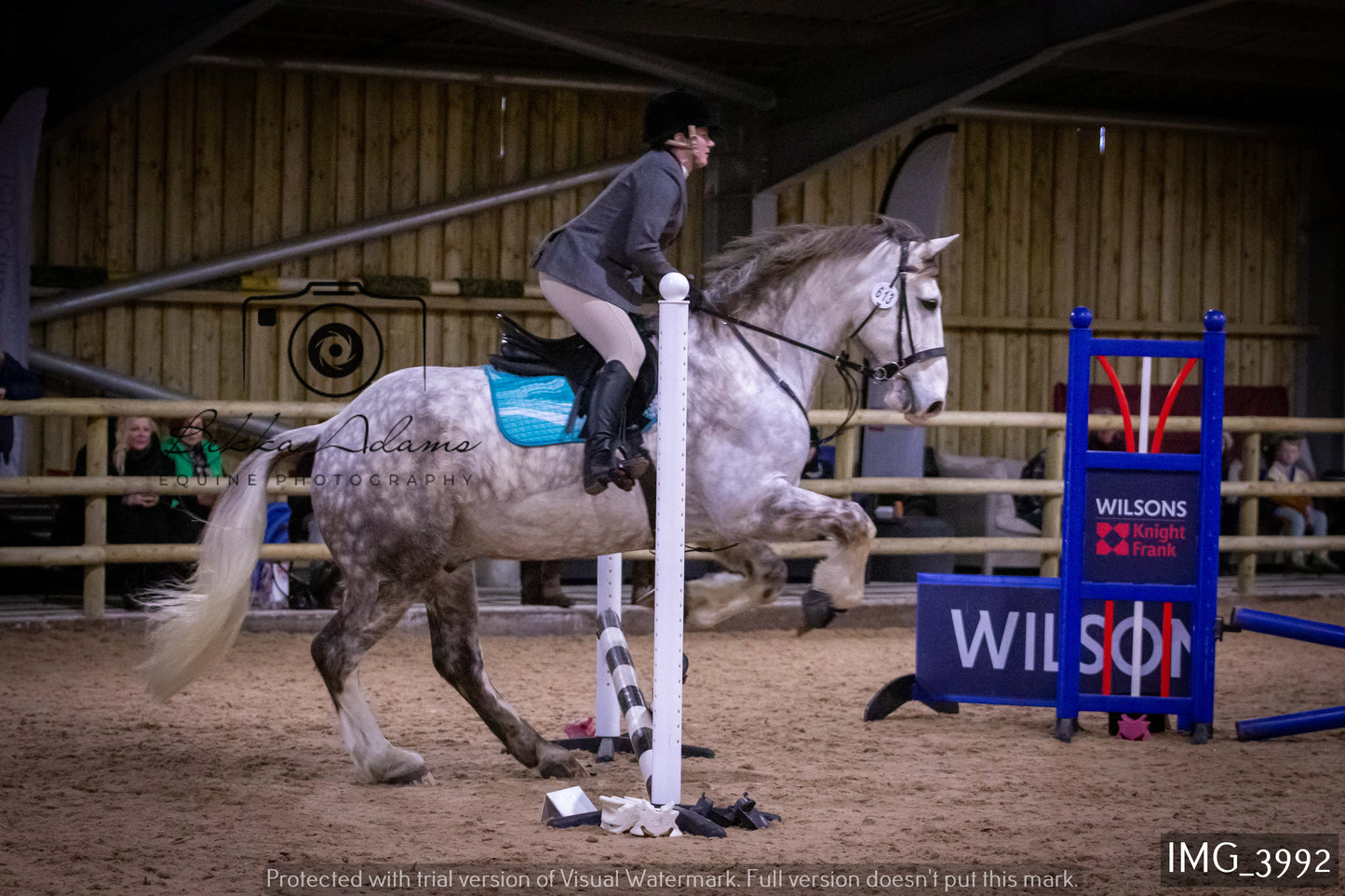 Home Farm Jumping 19th February - Seniors