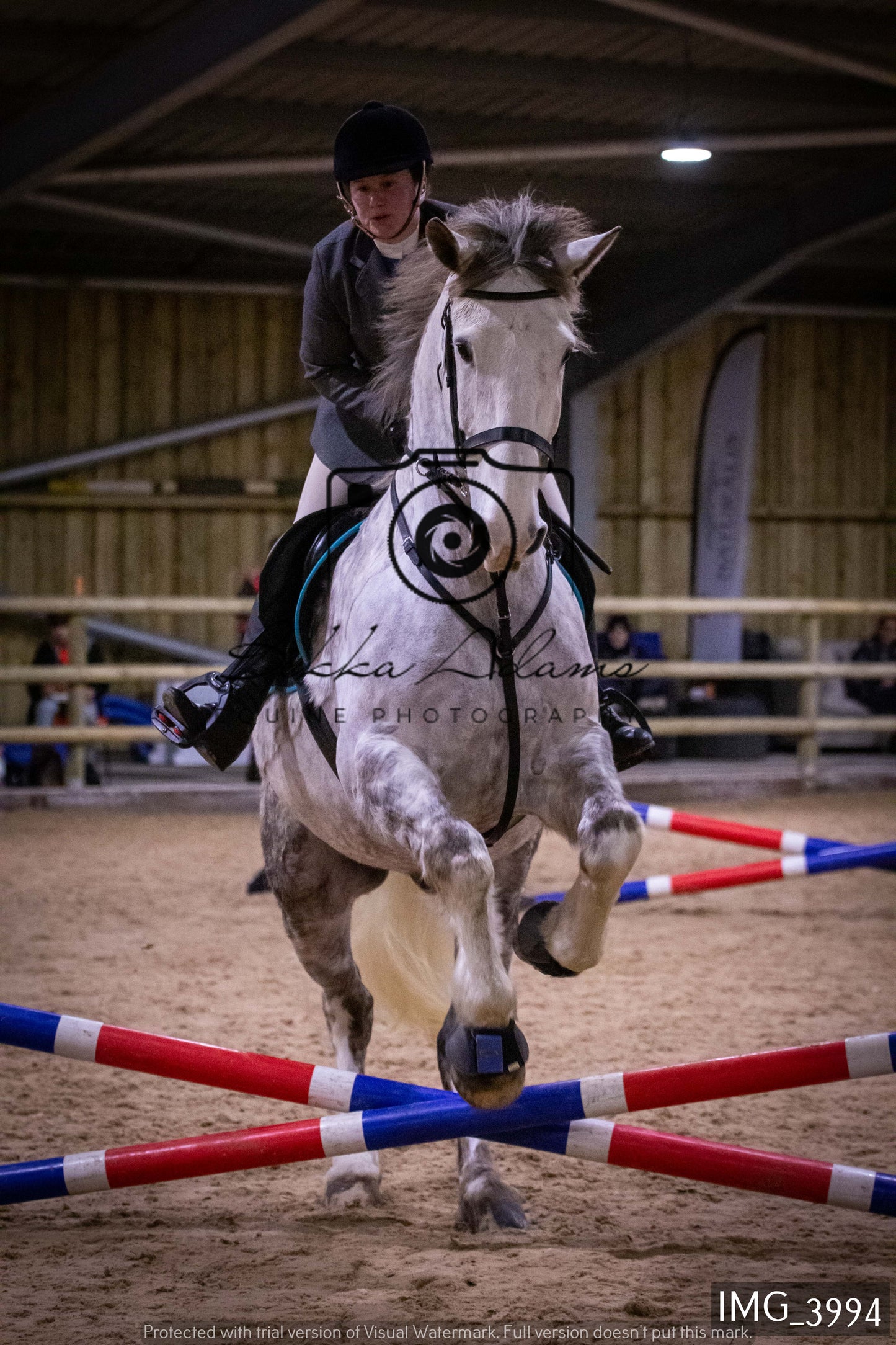 Home Farm Jumping 19th February - Seniors