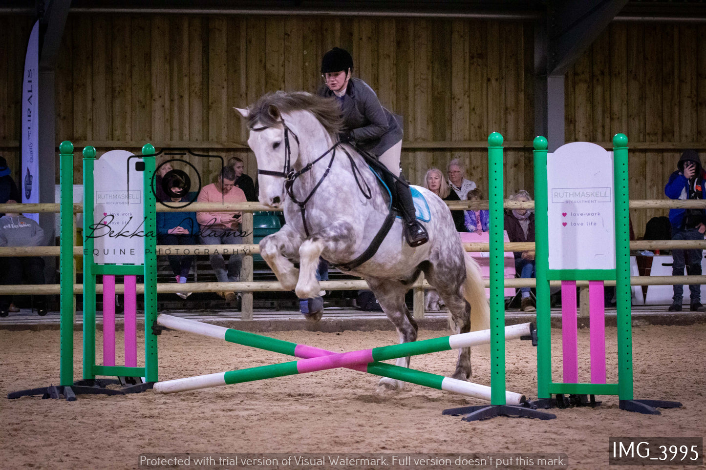 Home Farm Jumping 19th February - Seniors
