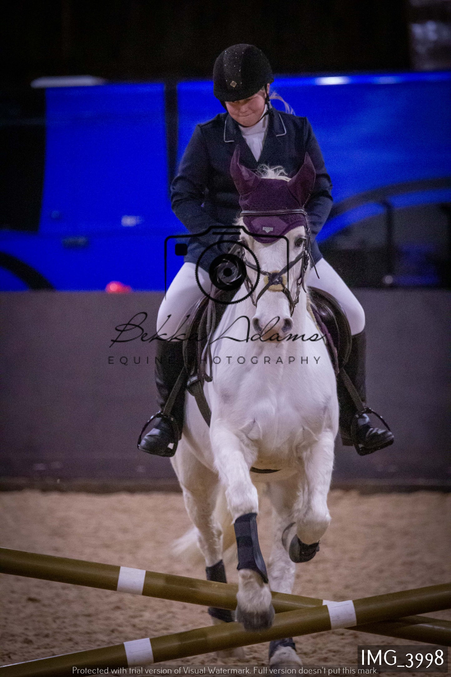 Home Farm Jumping 19th February - Seniors