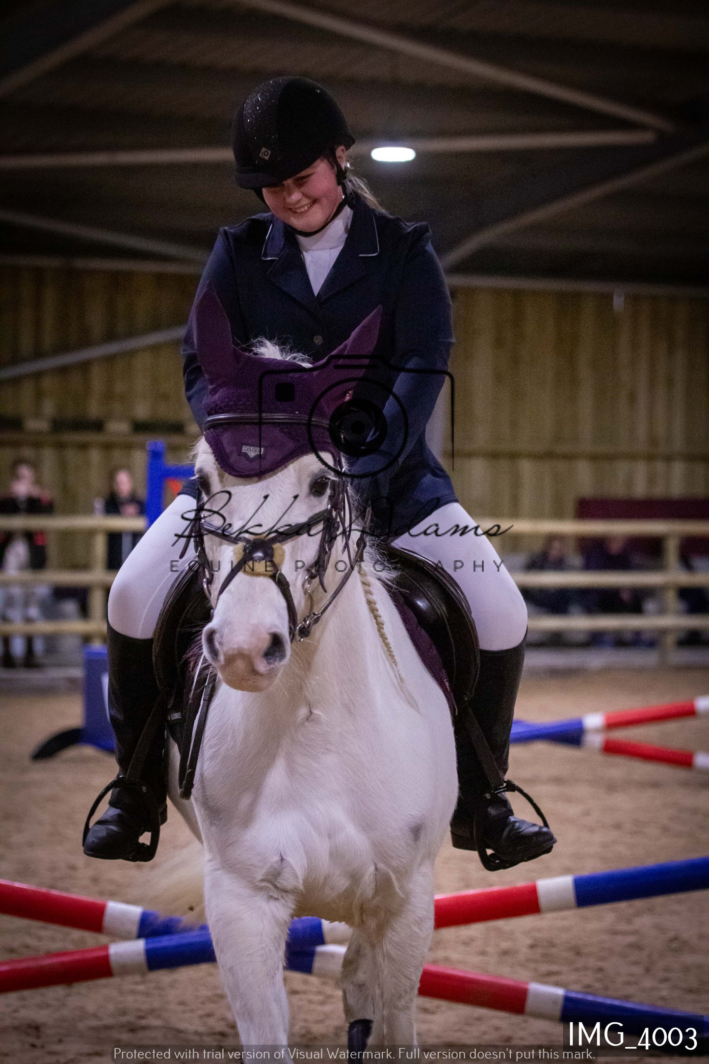 Home Farm Jumping 19th February - Seniors