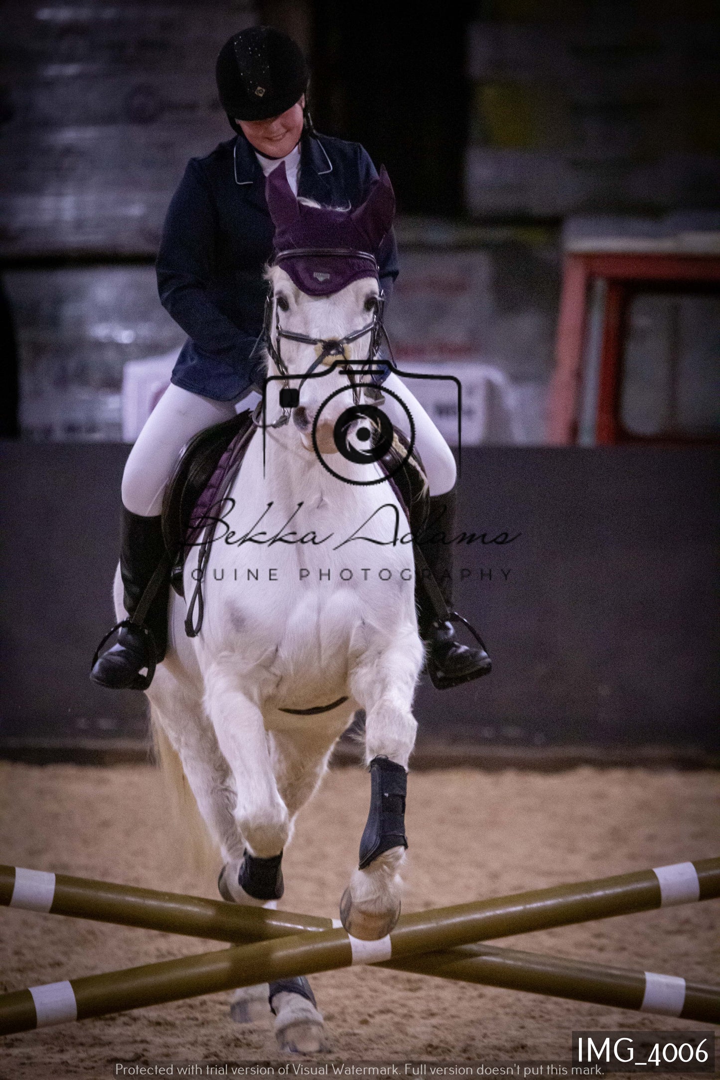Home Farm Jumping 19th February - Seniors