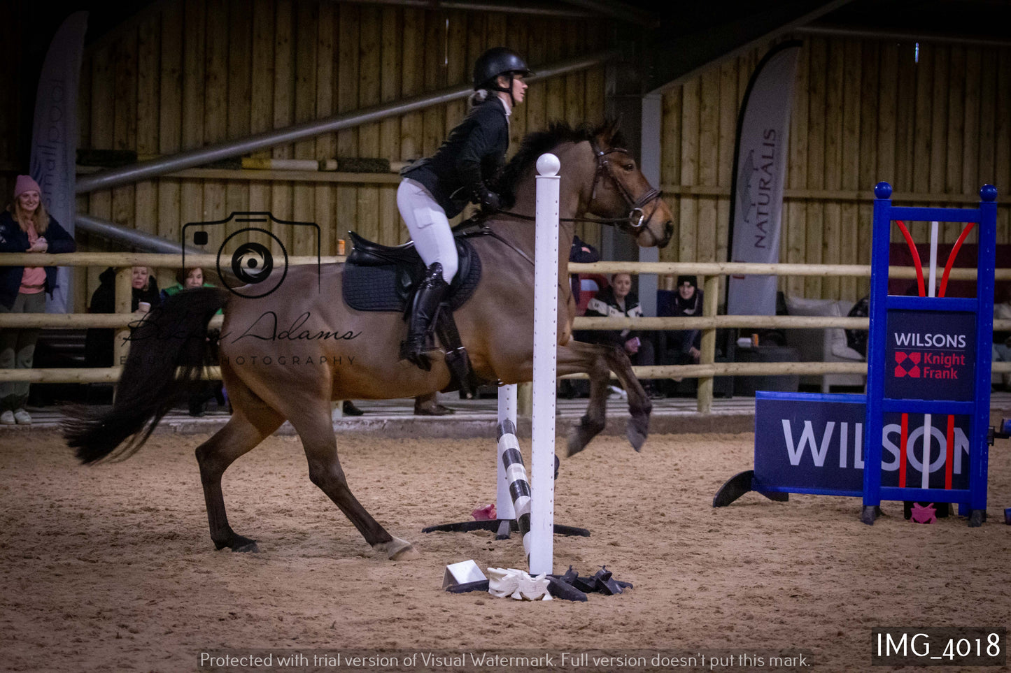 Home Farm Jumping 19th February - Seniors