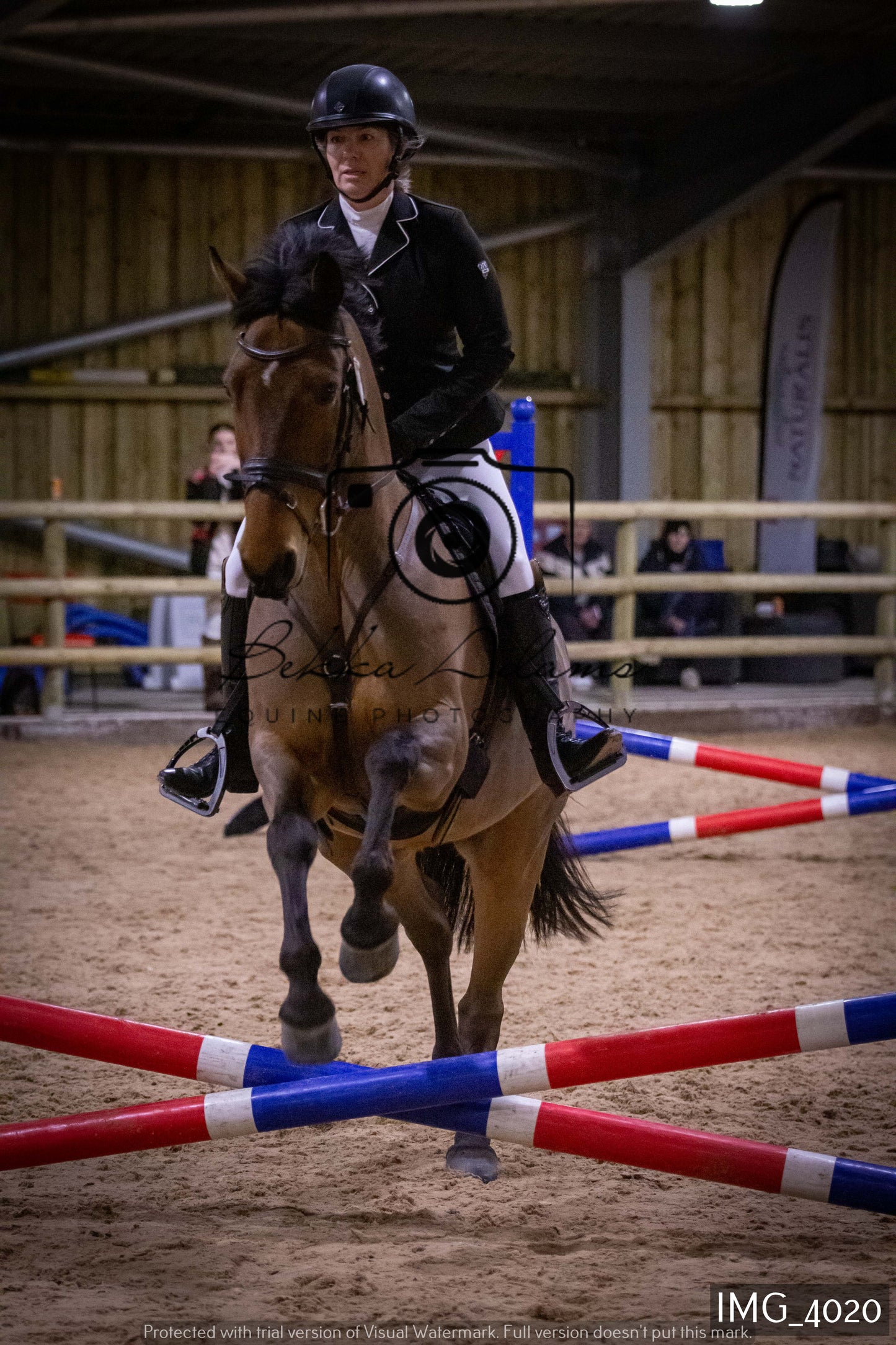 Home Farm Jumping 19th February - Seniors