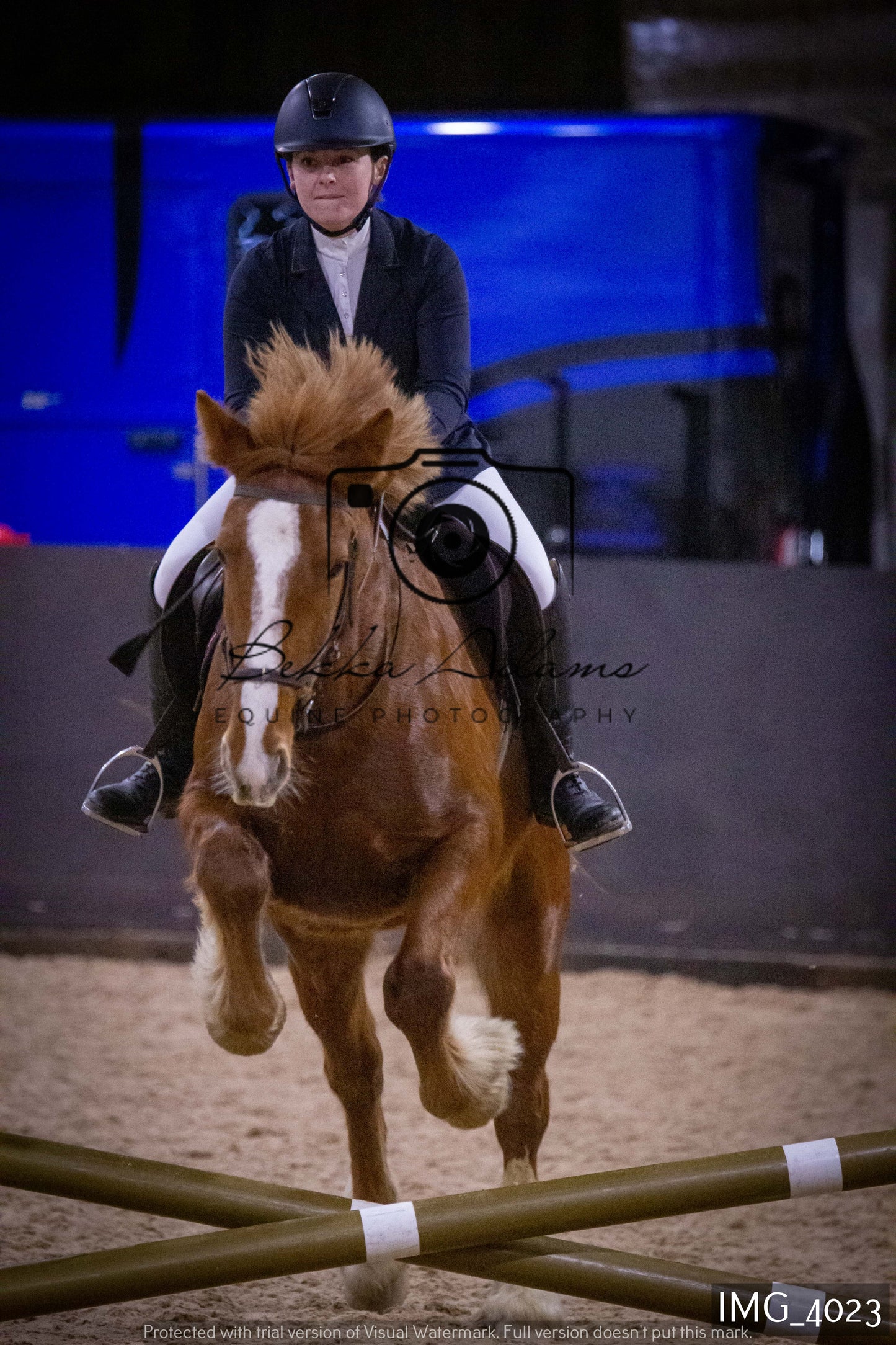 Home Farm Jumping 19th February - Seniors