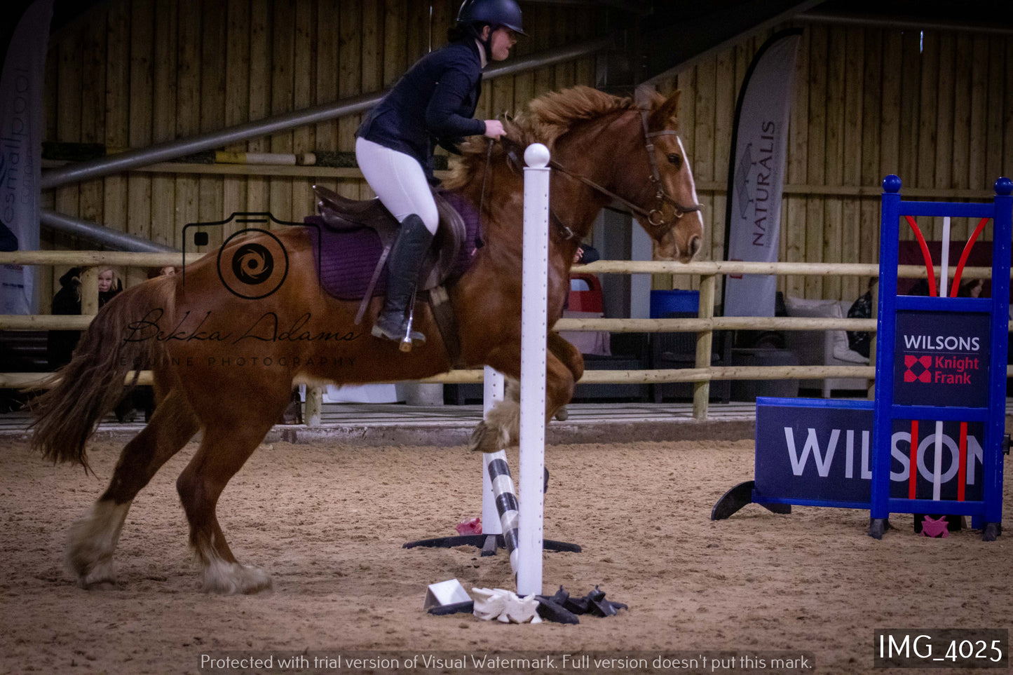 Home Farm Jumping 19th February - Seniors