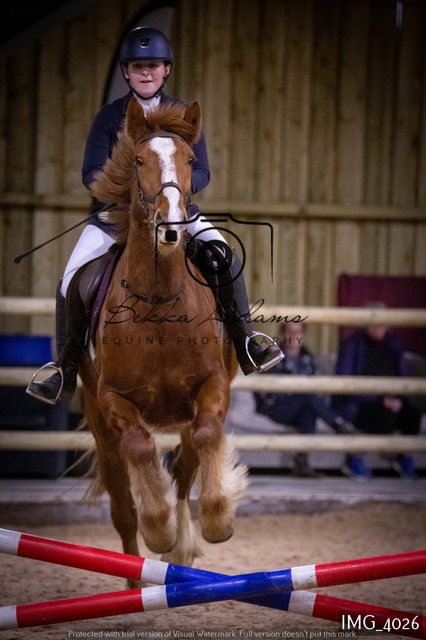 Home Farm Jumping 19th February - Seniors